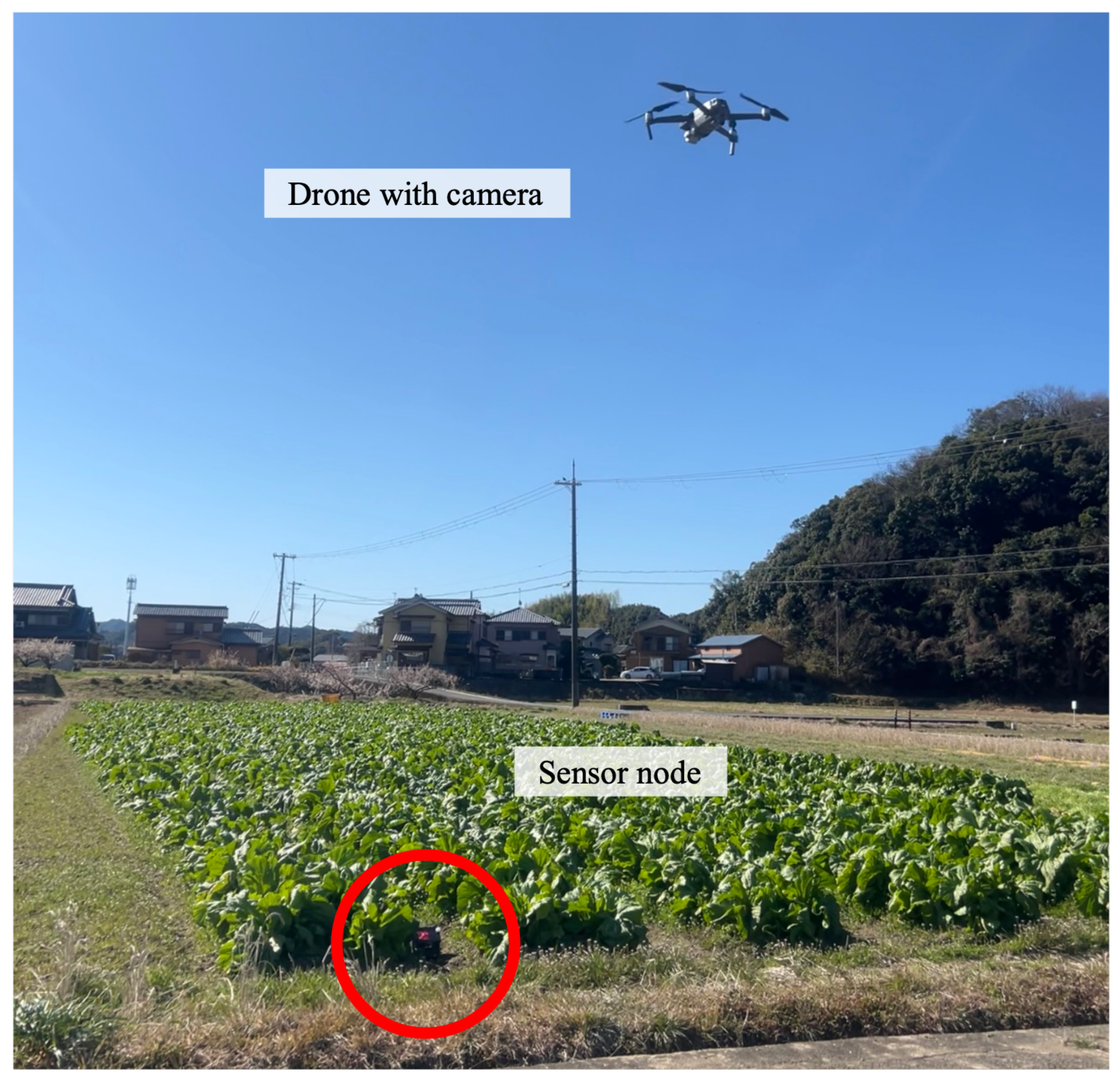 Sensors 24 06146 g008