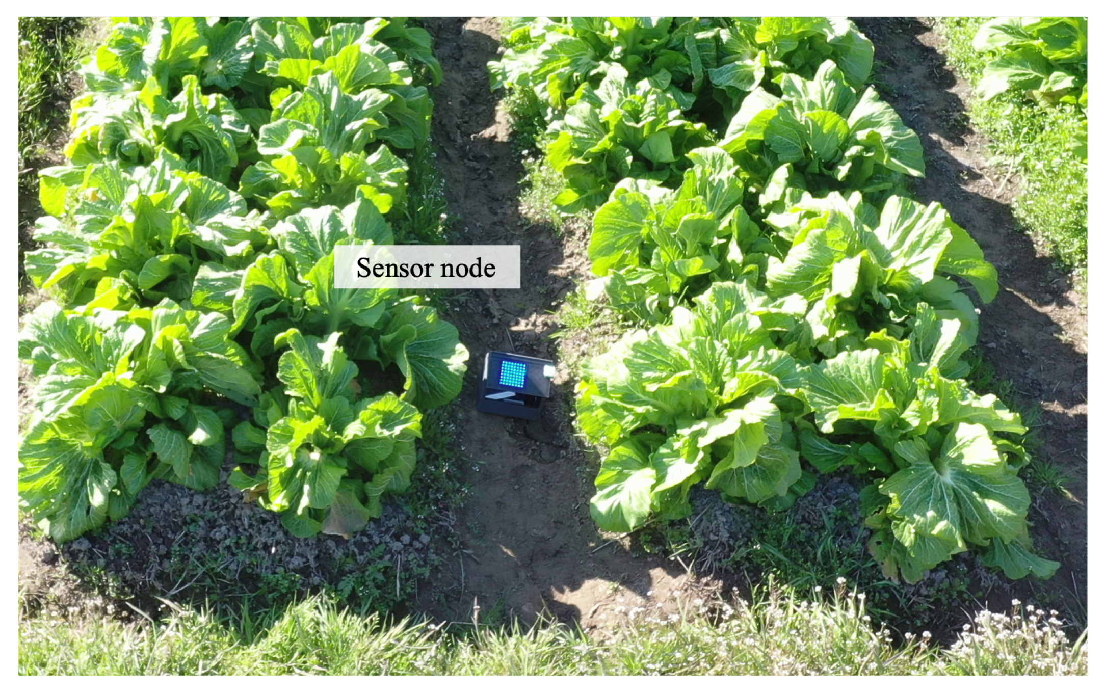 Sensors 24 06146 g010