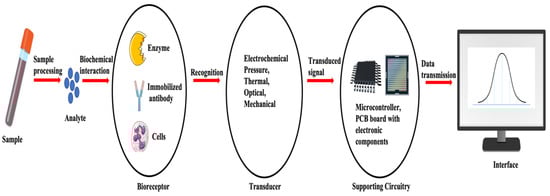 Sensors 24 06172 g001