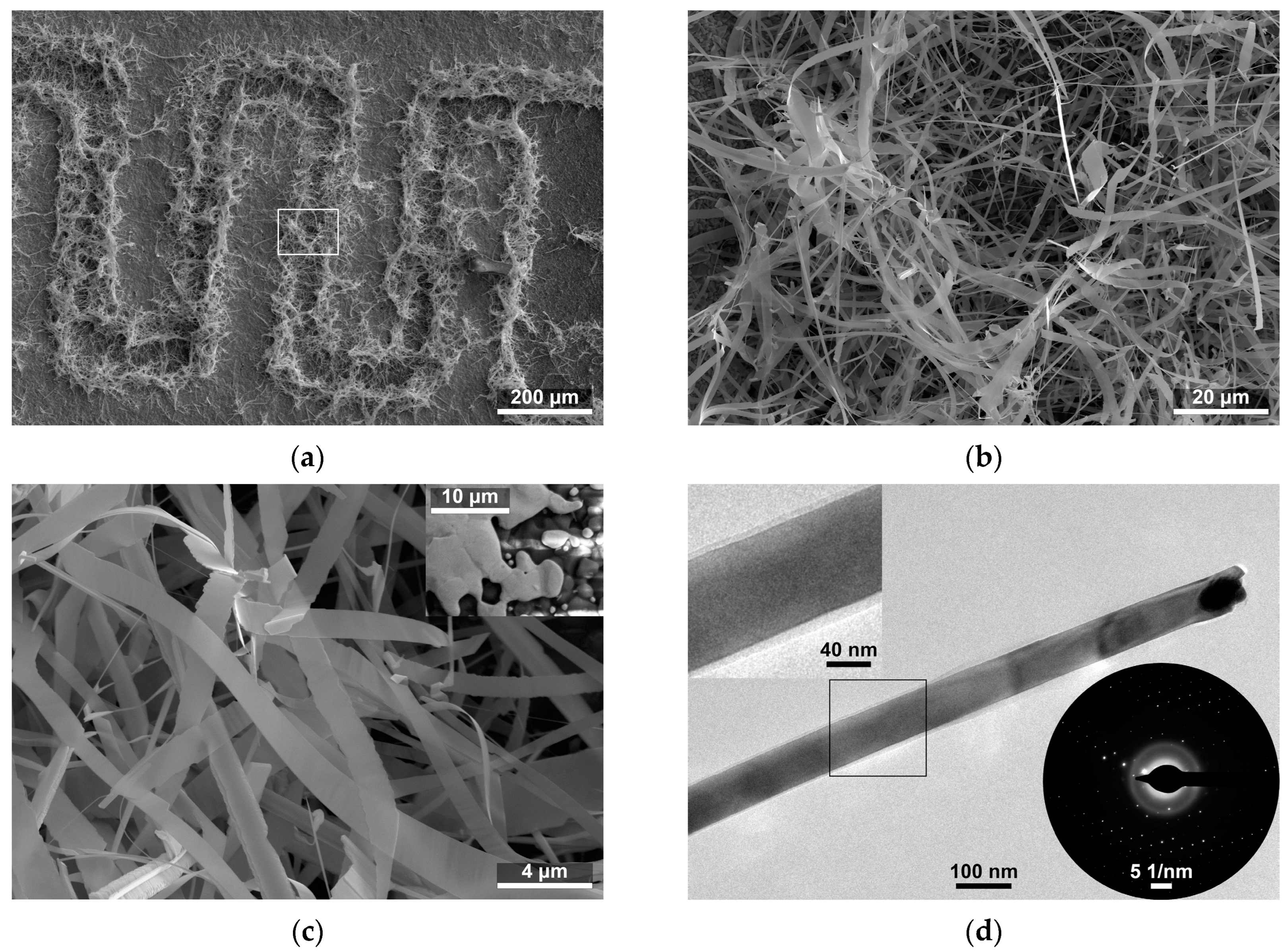 Sensors 24 06173 g001