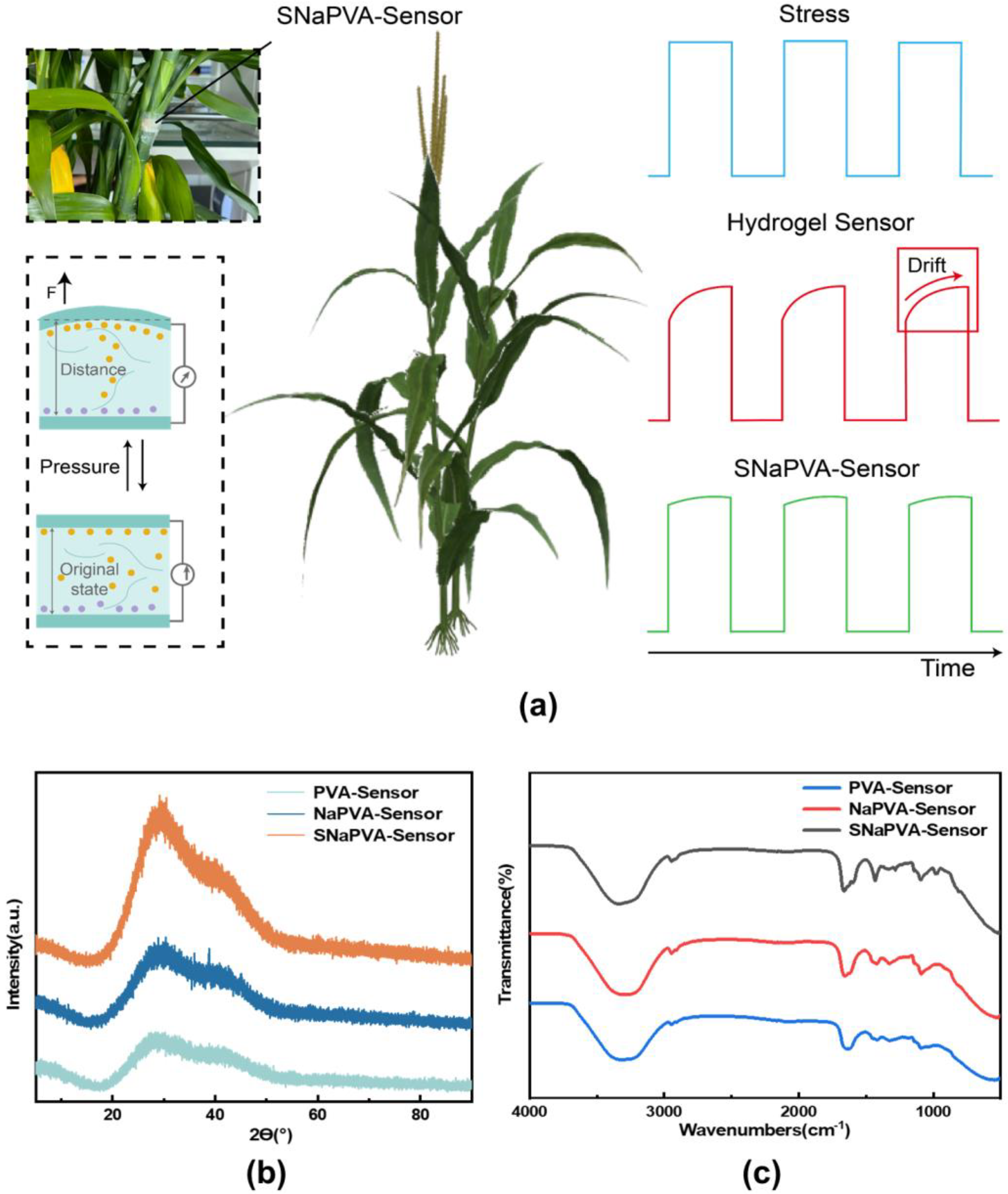 Sensors 24 06197 g002