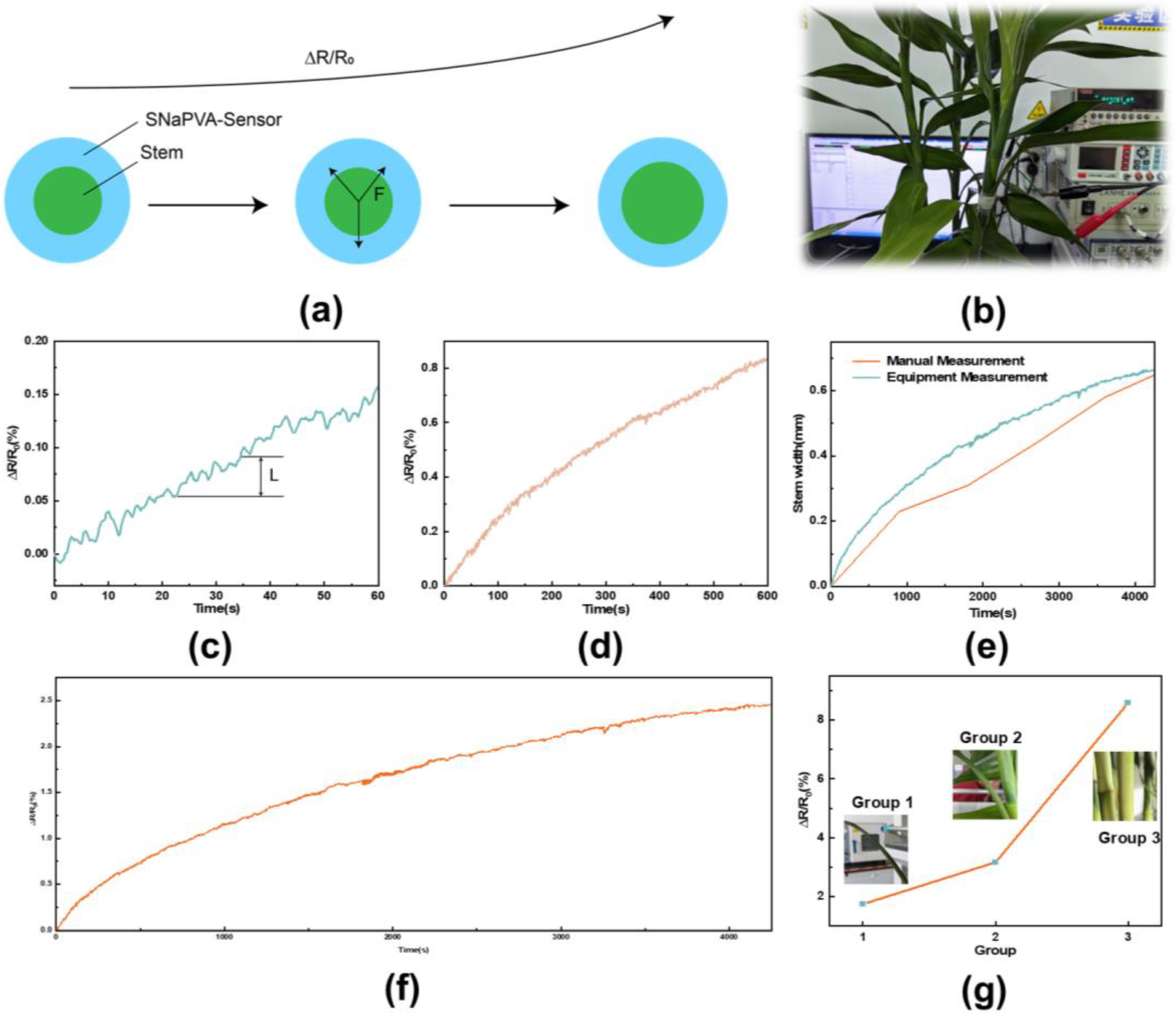Sensors 24 06197 g005
