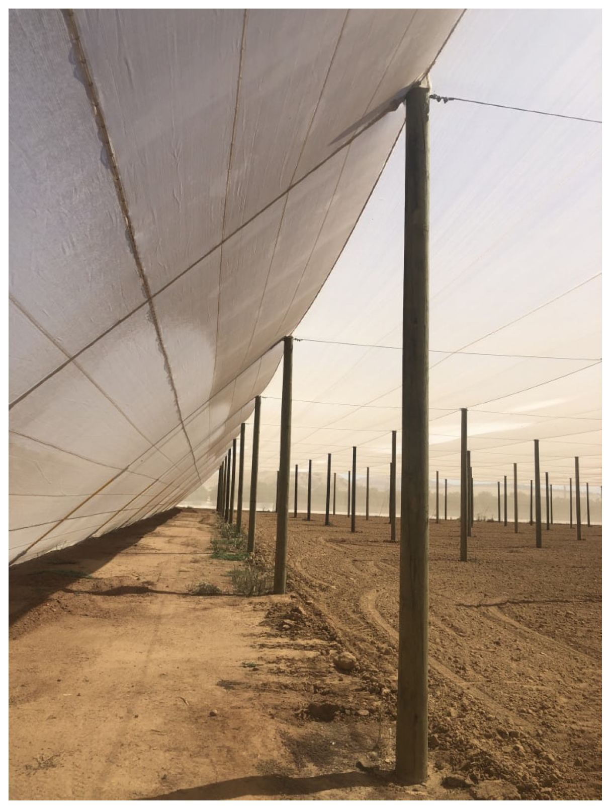 Sensors 24 06200 g002