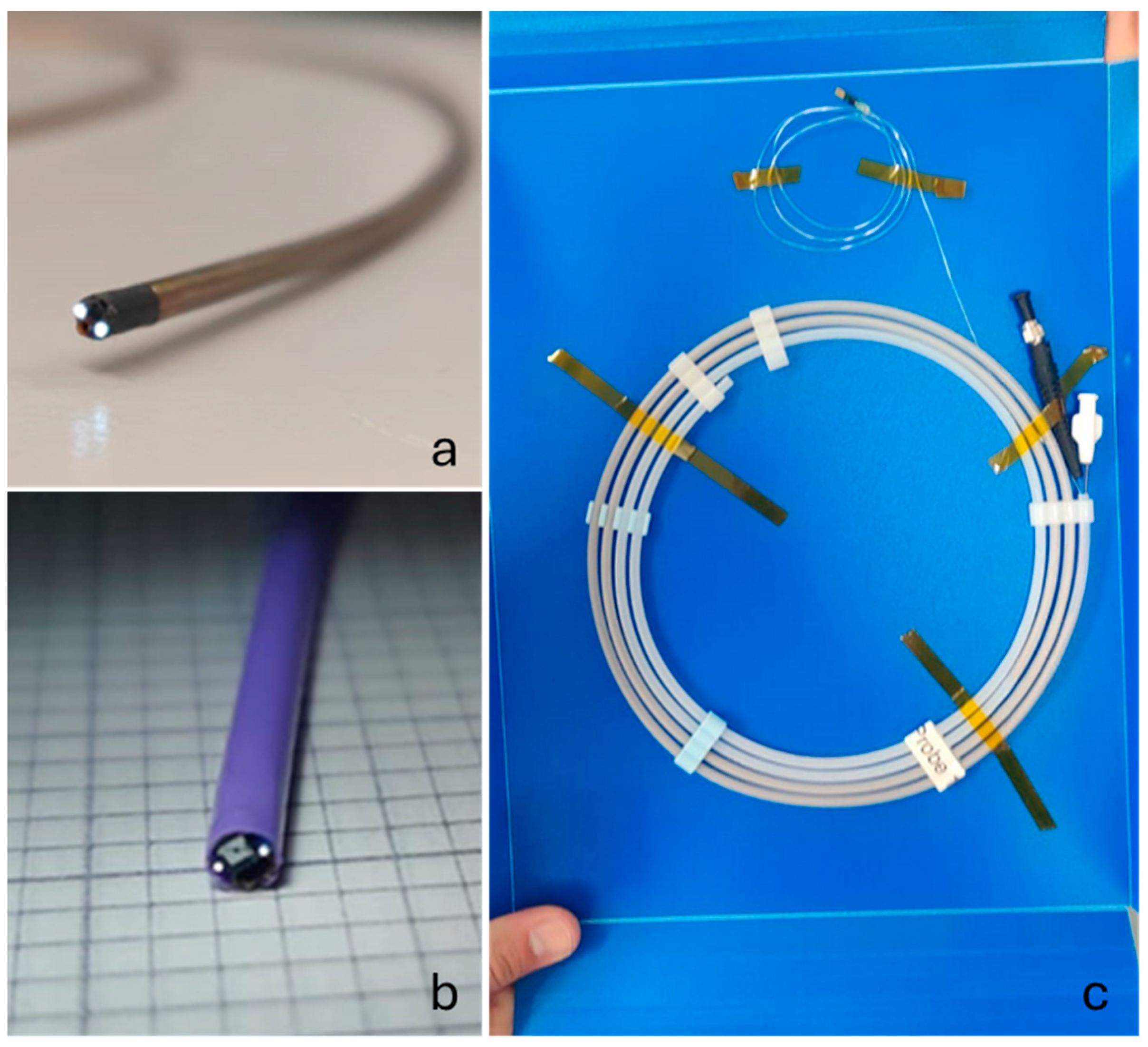Sensors 24 06216 g005