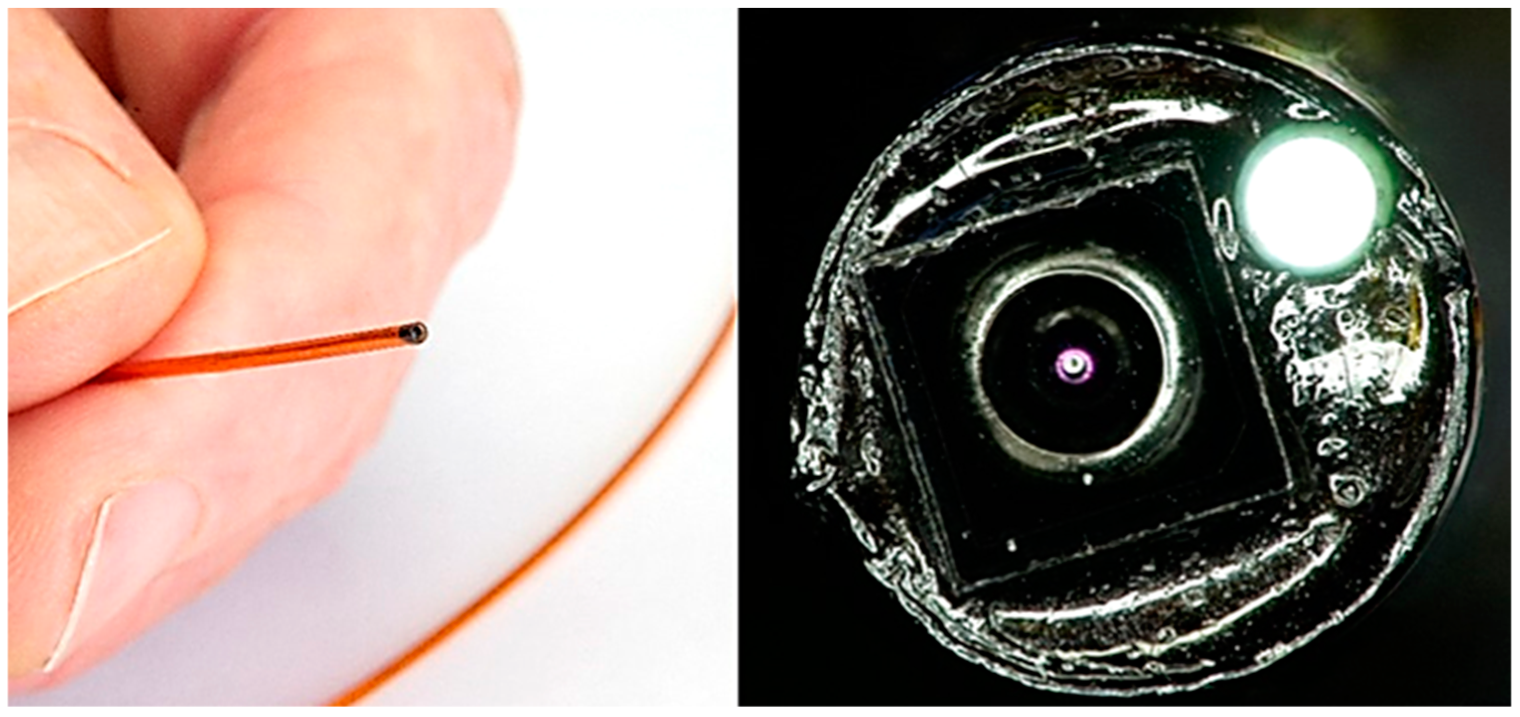 Sensors 24 06216 g008