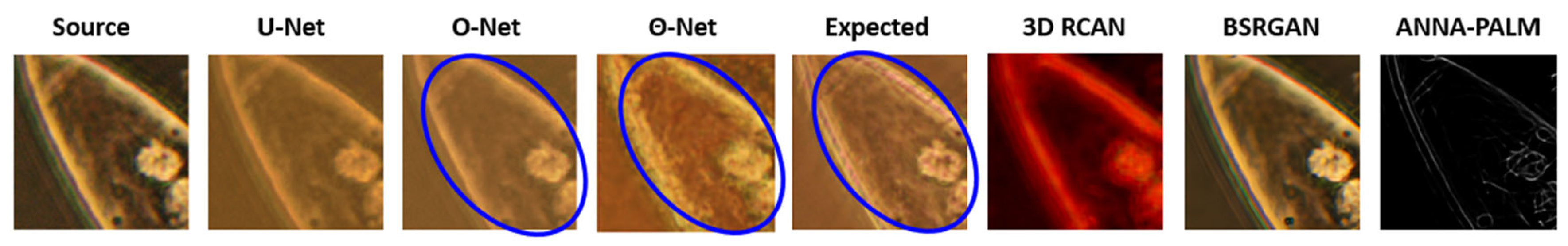 Sensors 24 06248 g006