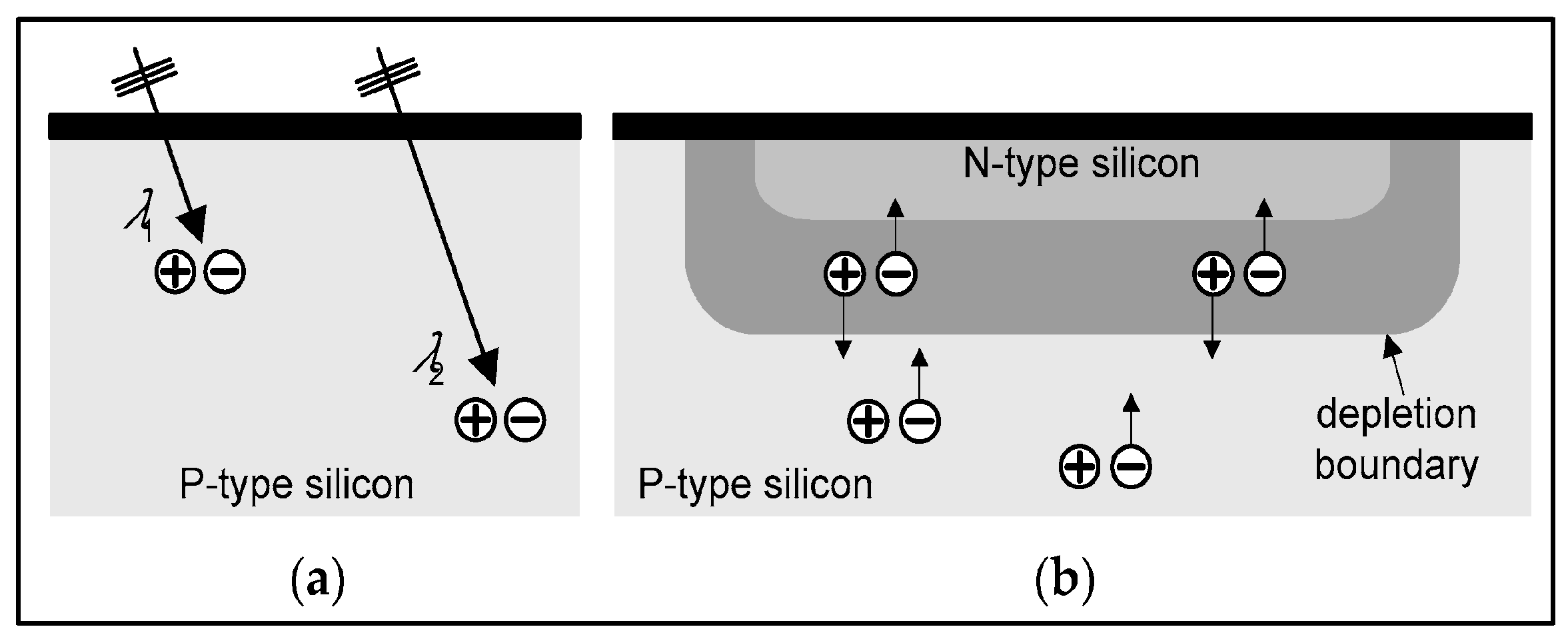 Sensors 24 06251 g007