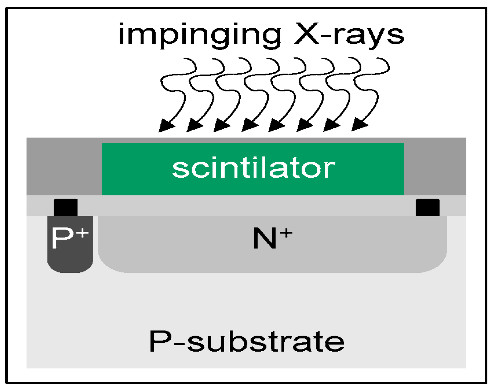 Sensors 24 06251 g008