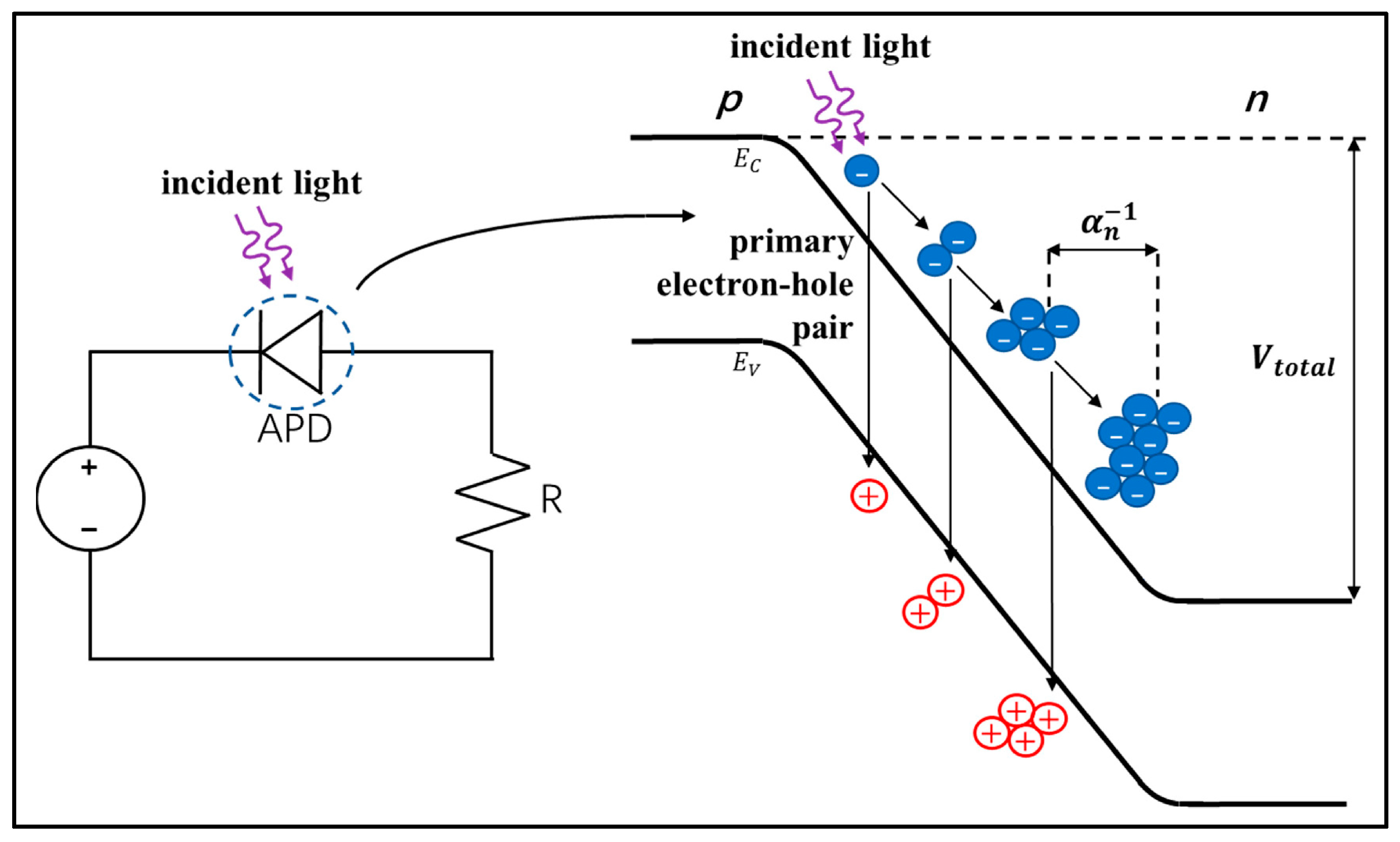 Sensors 24 06251 g009