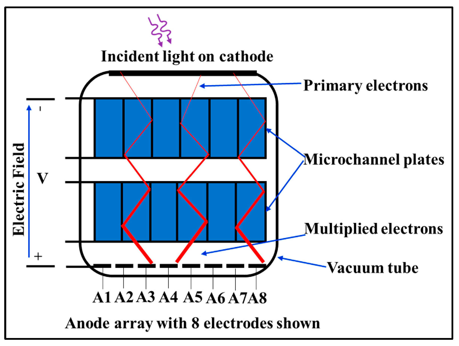 Sensors 24 06251 g016