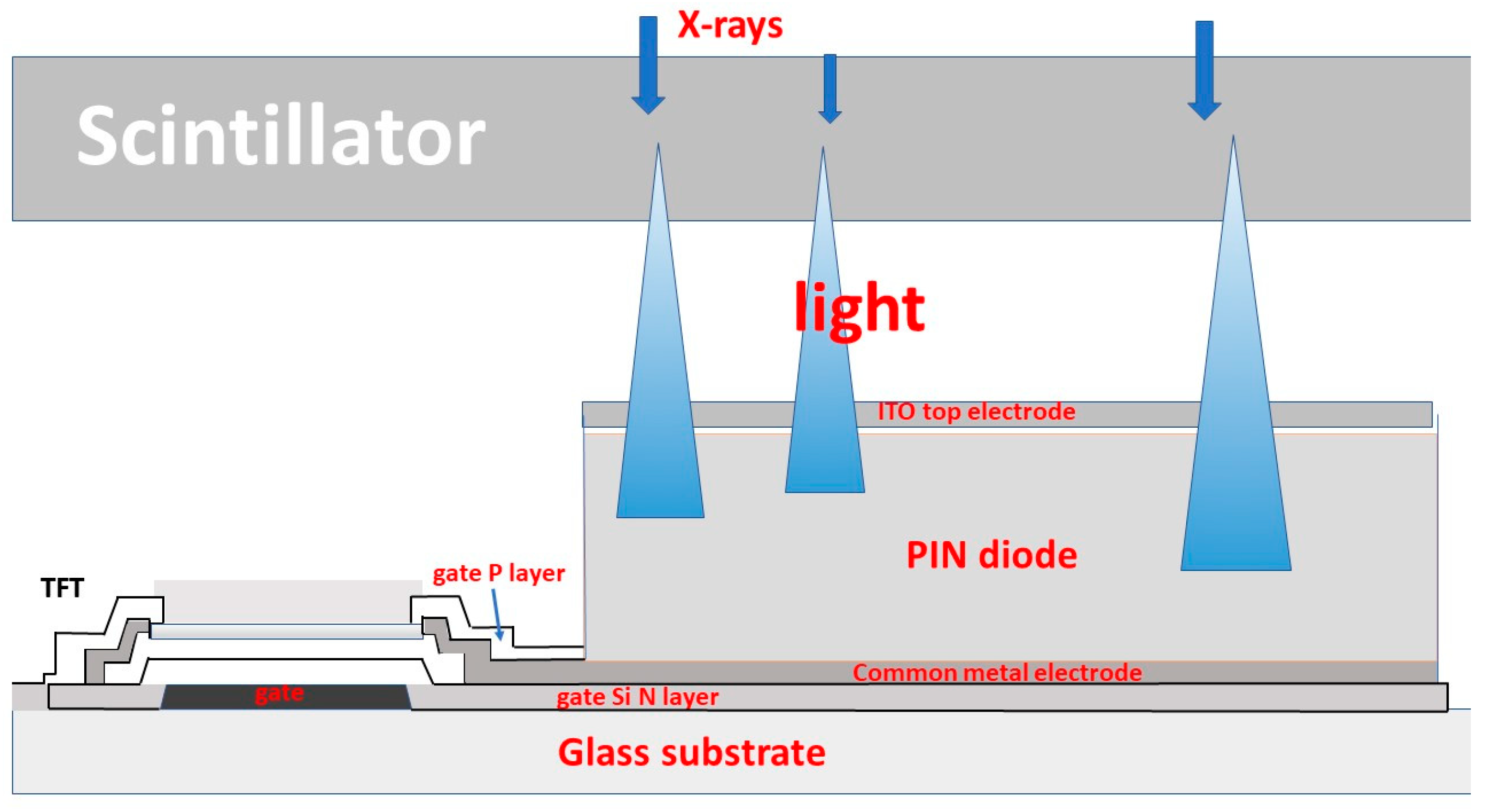 Sensors 24 06251 g018