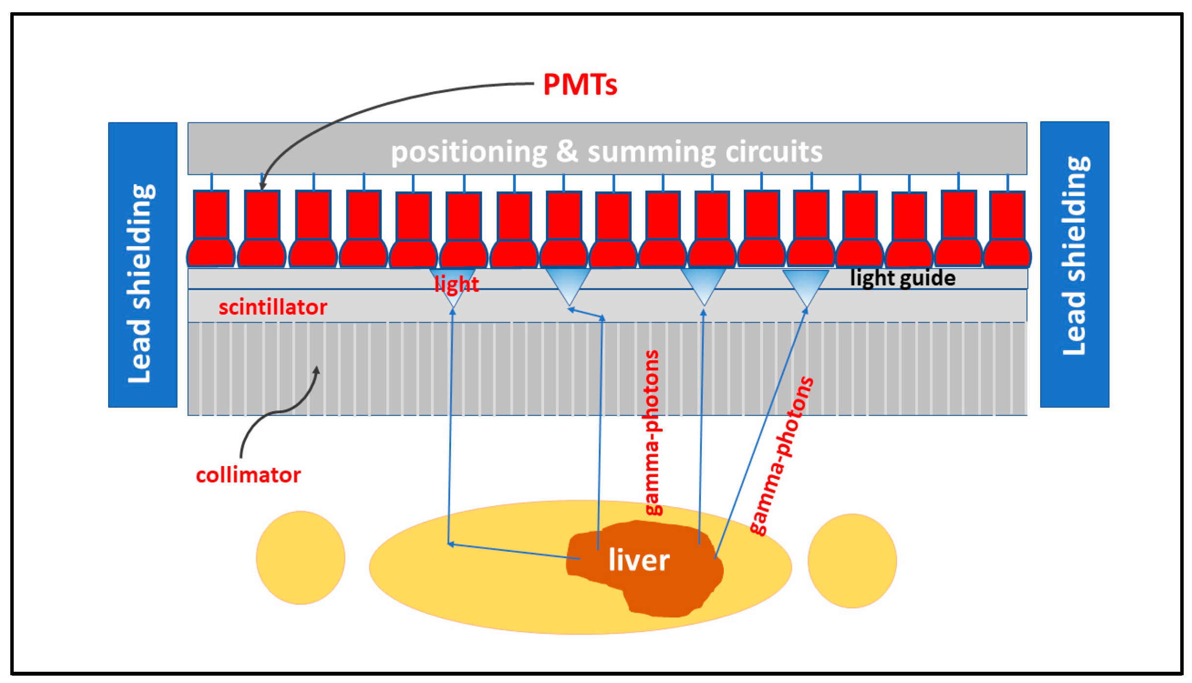 Sensors 24 06251 g026