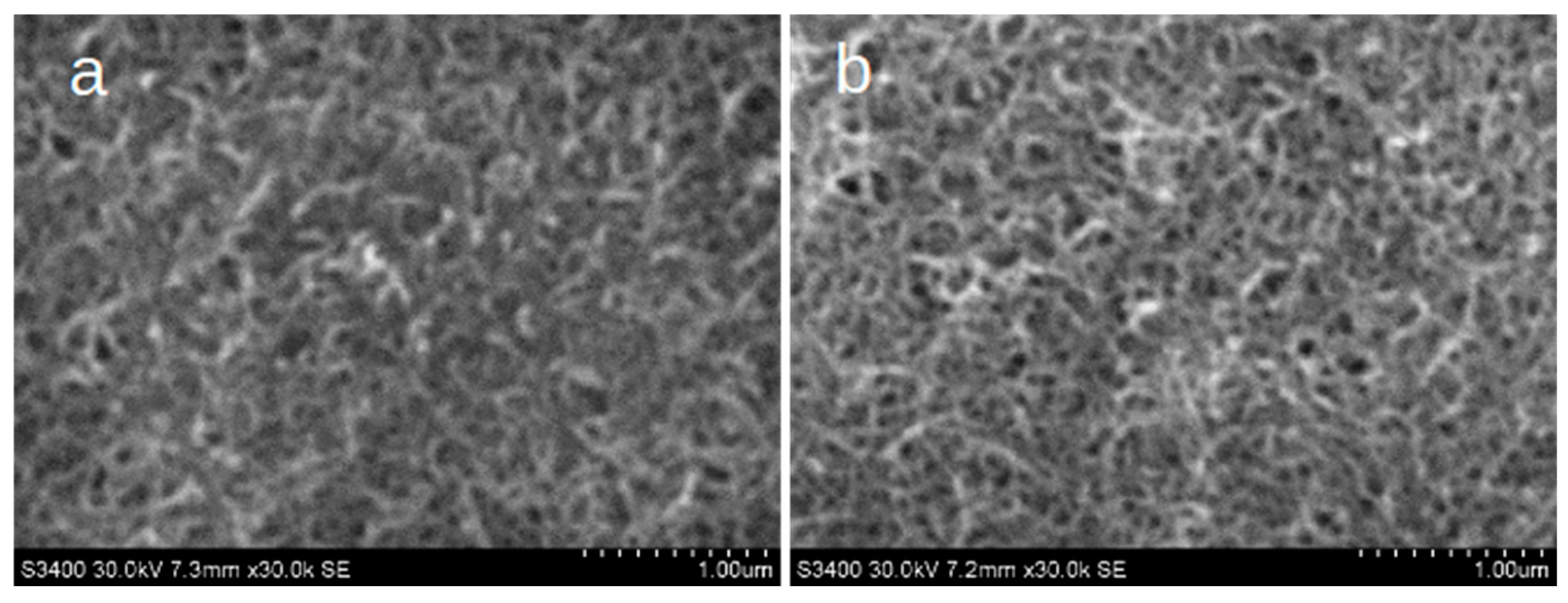 Sensors 24 06257 g003