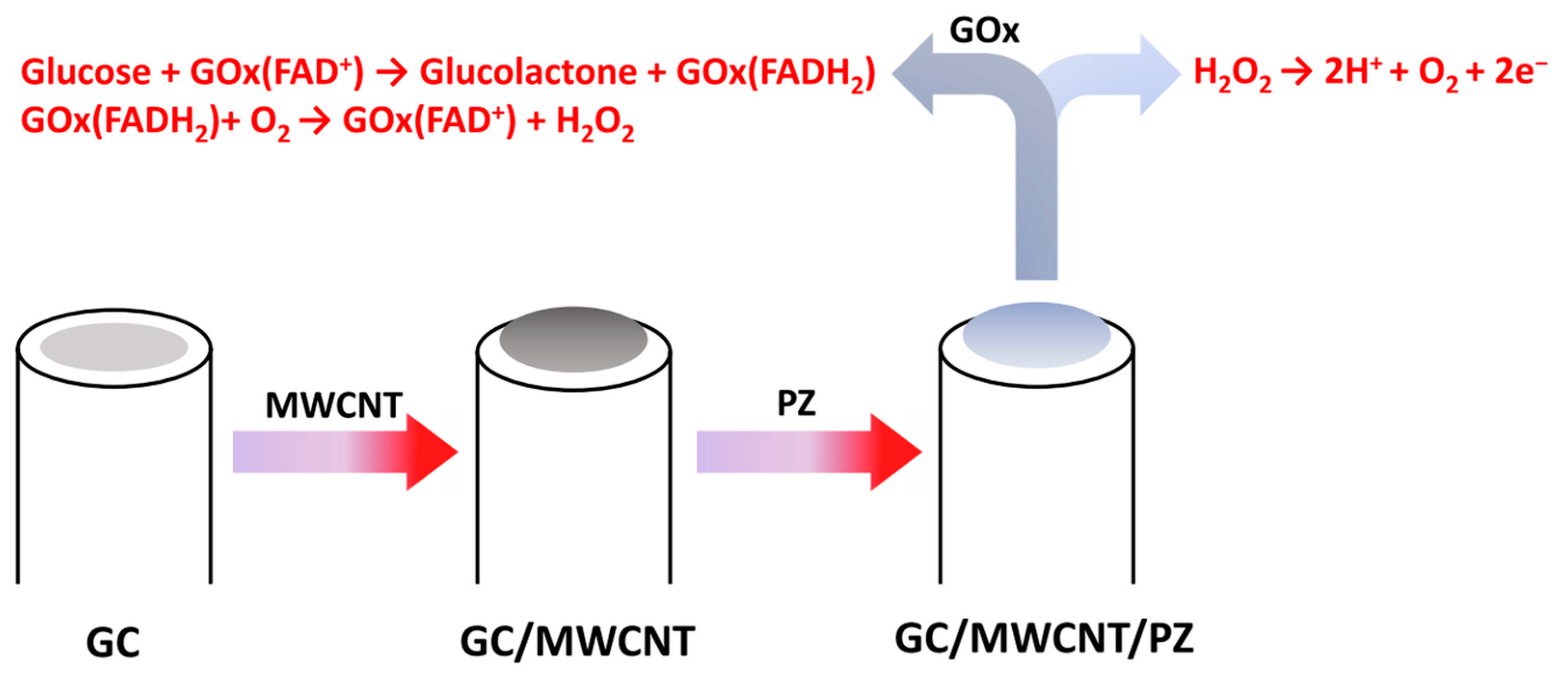 Sensors 24 06257 sch002