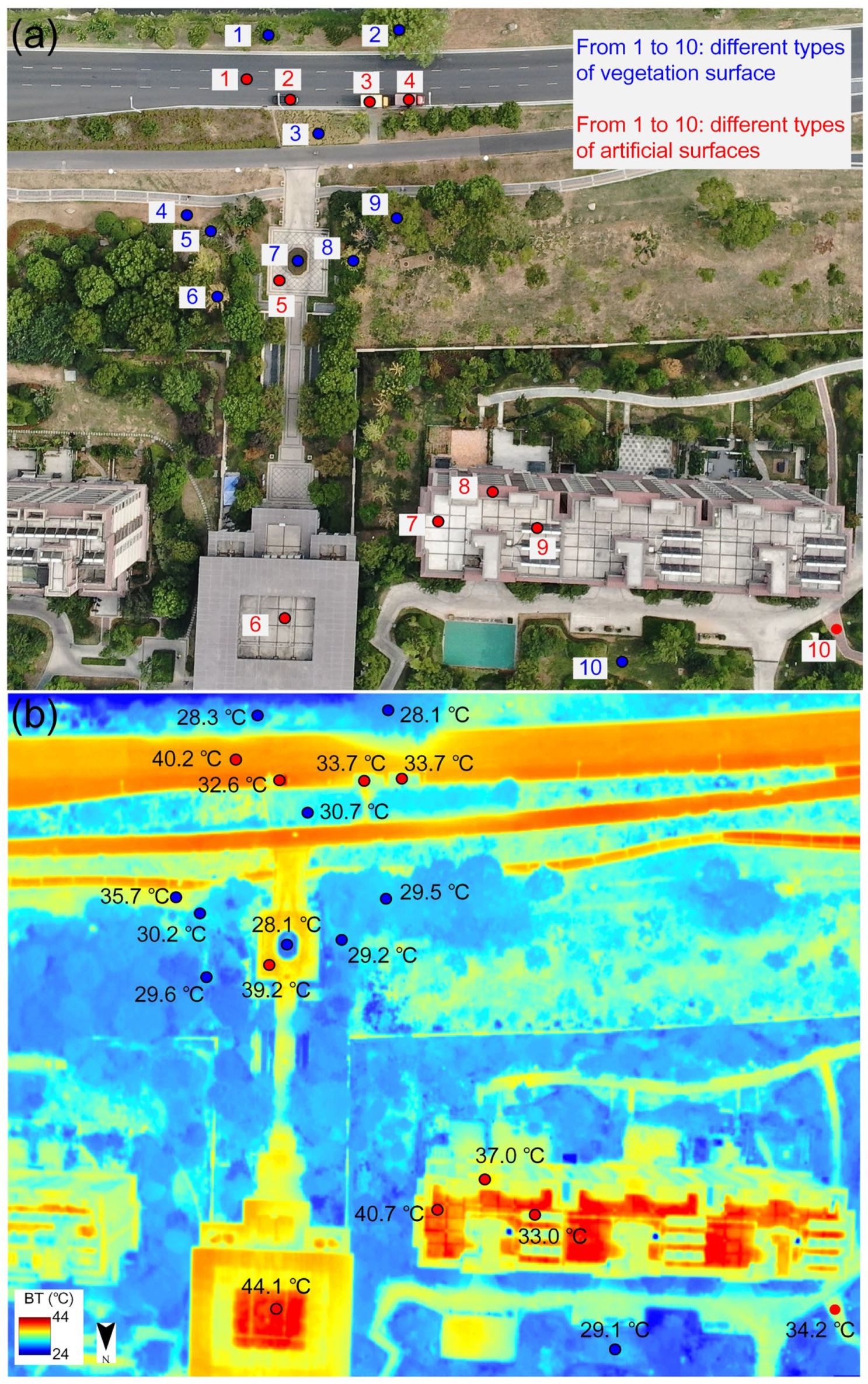Sensors 24 06267 g006
