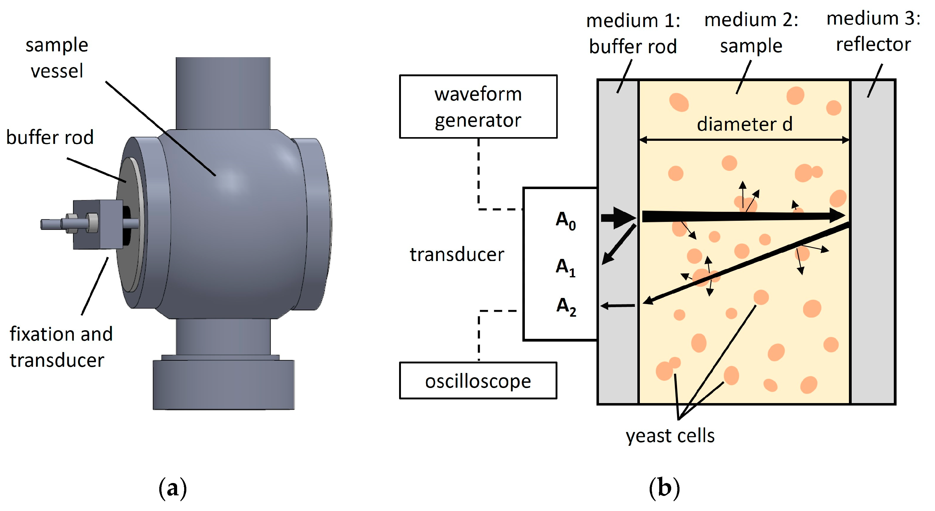 Sensors 24 06271 g001