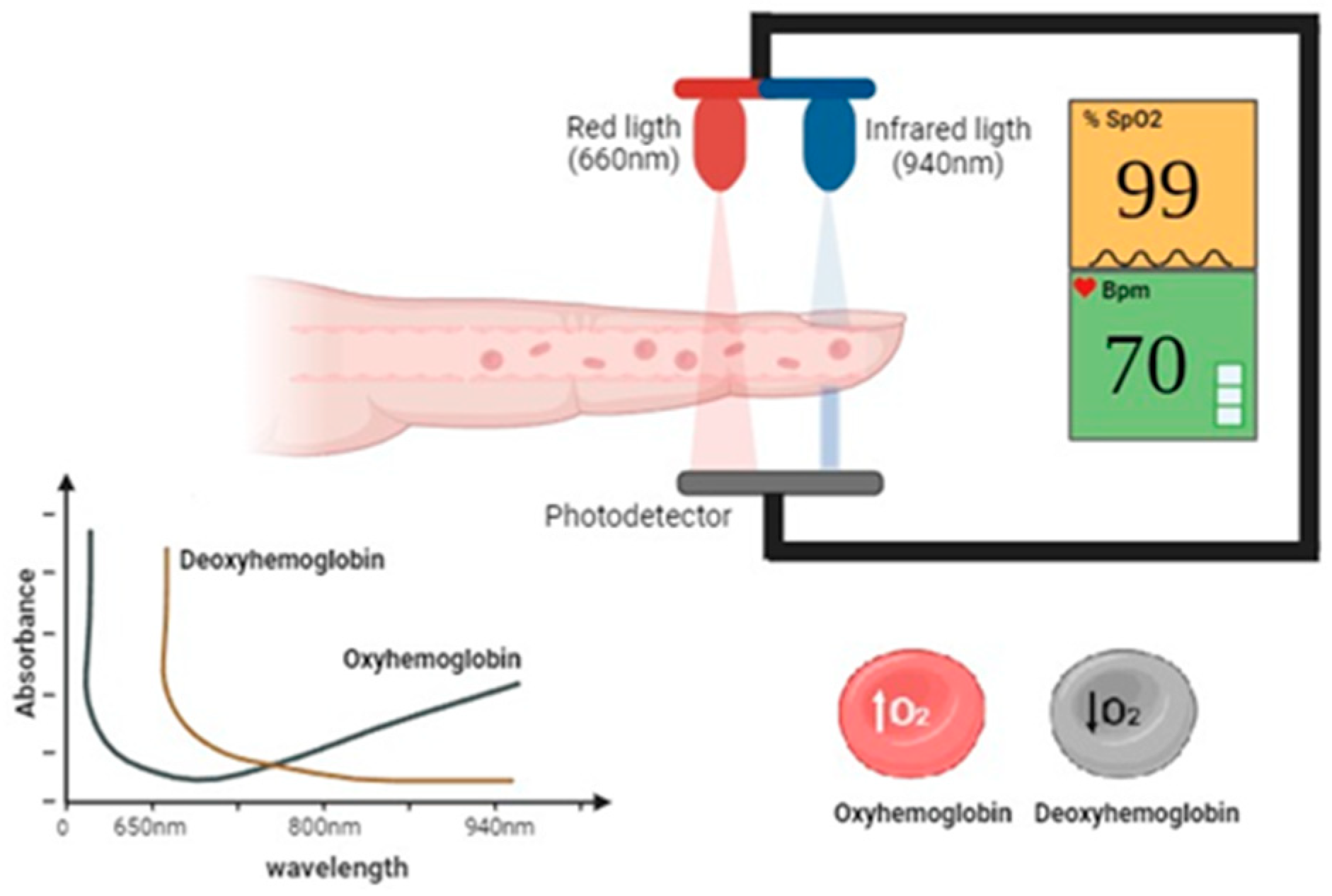 Sensors 24 06284 g001