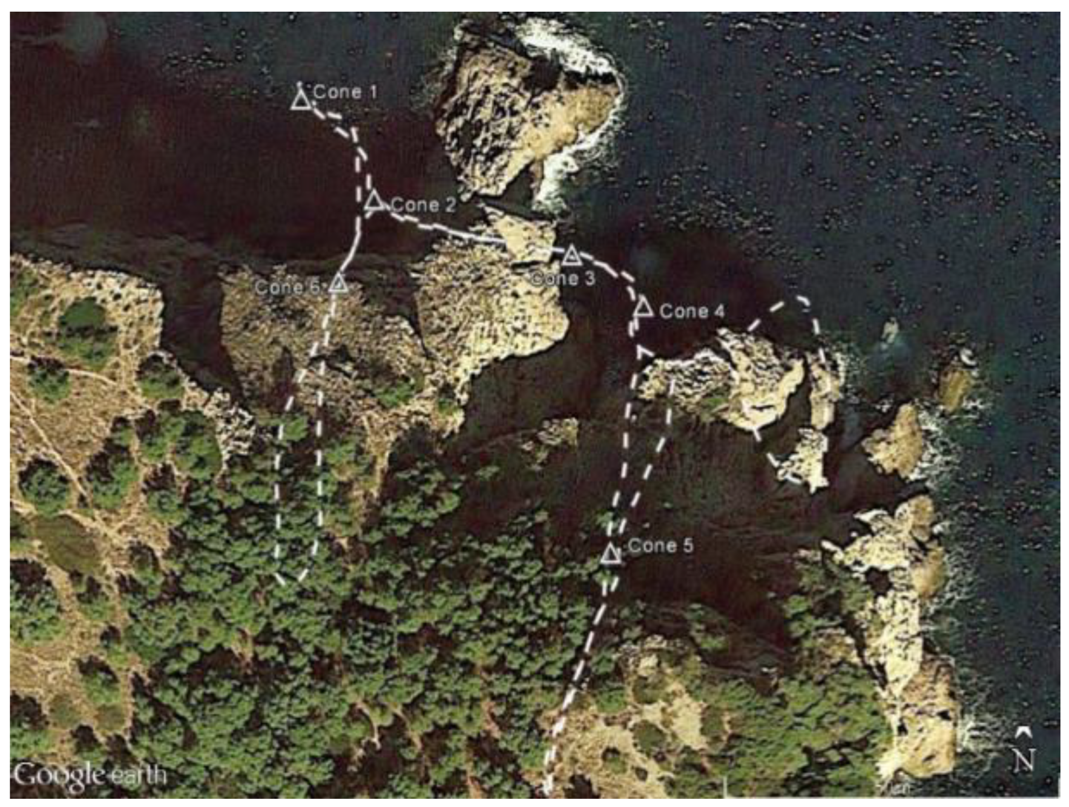 Sensors 24 06299 g002