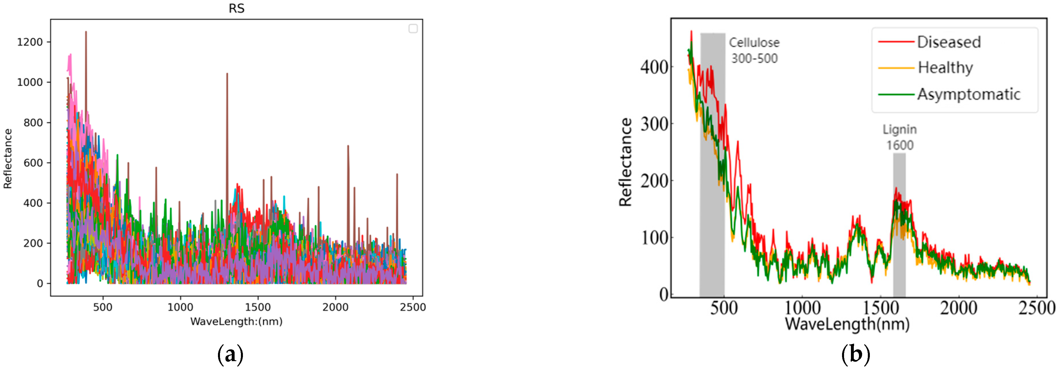 Sensors 24 06324 g004