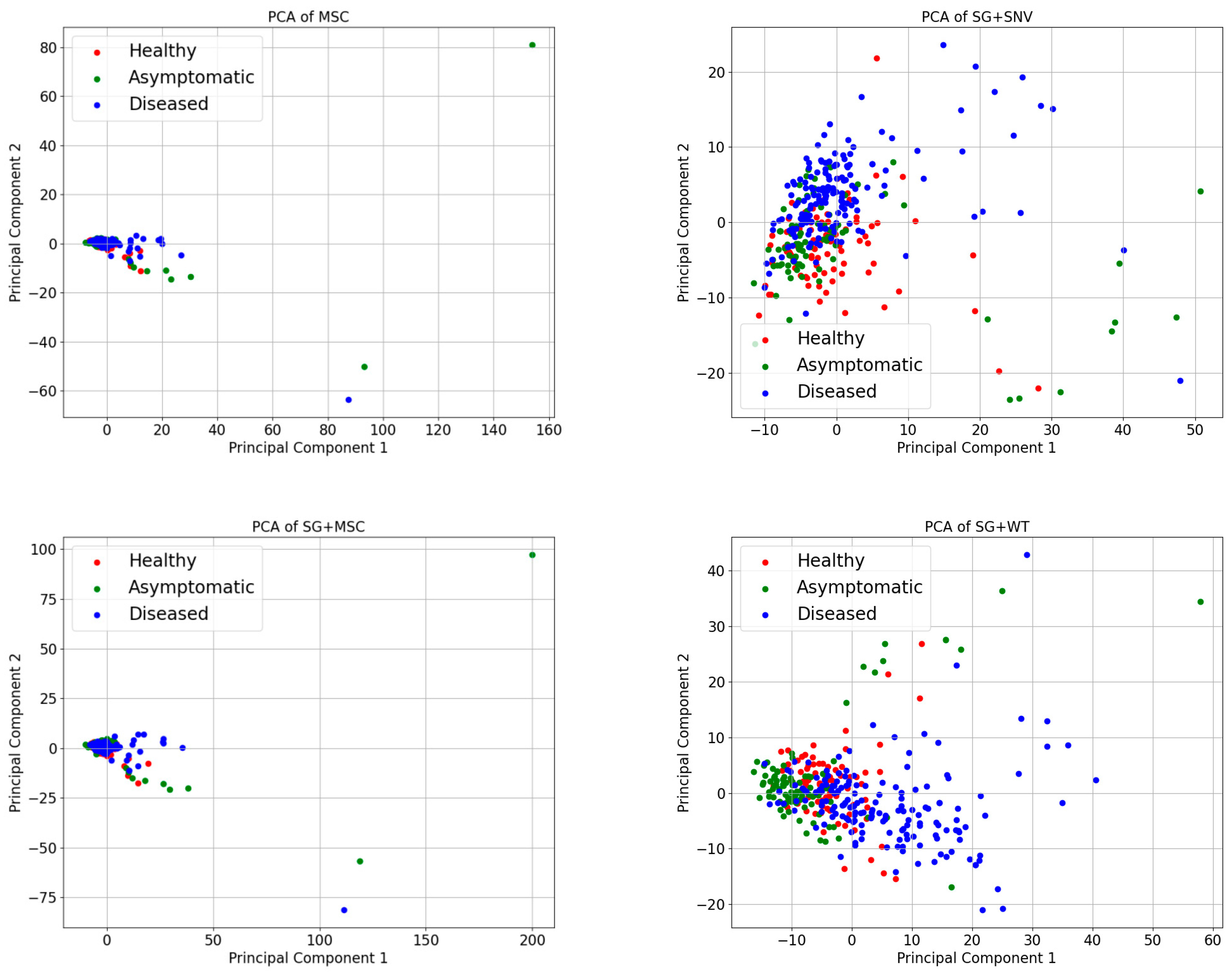 Sensors 24 06324 g006b