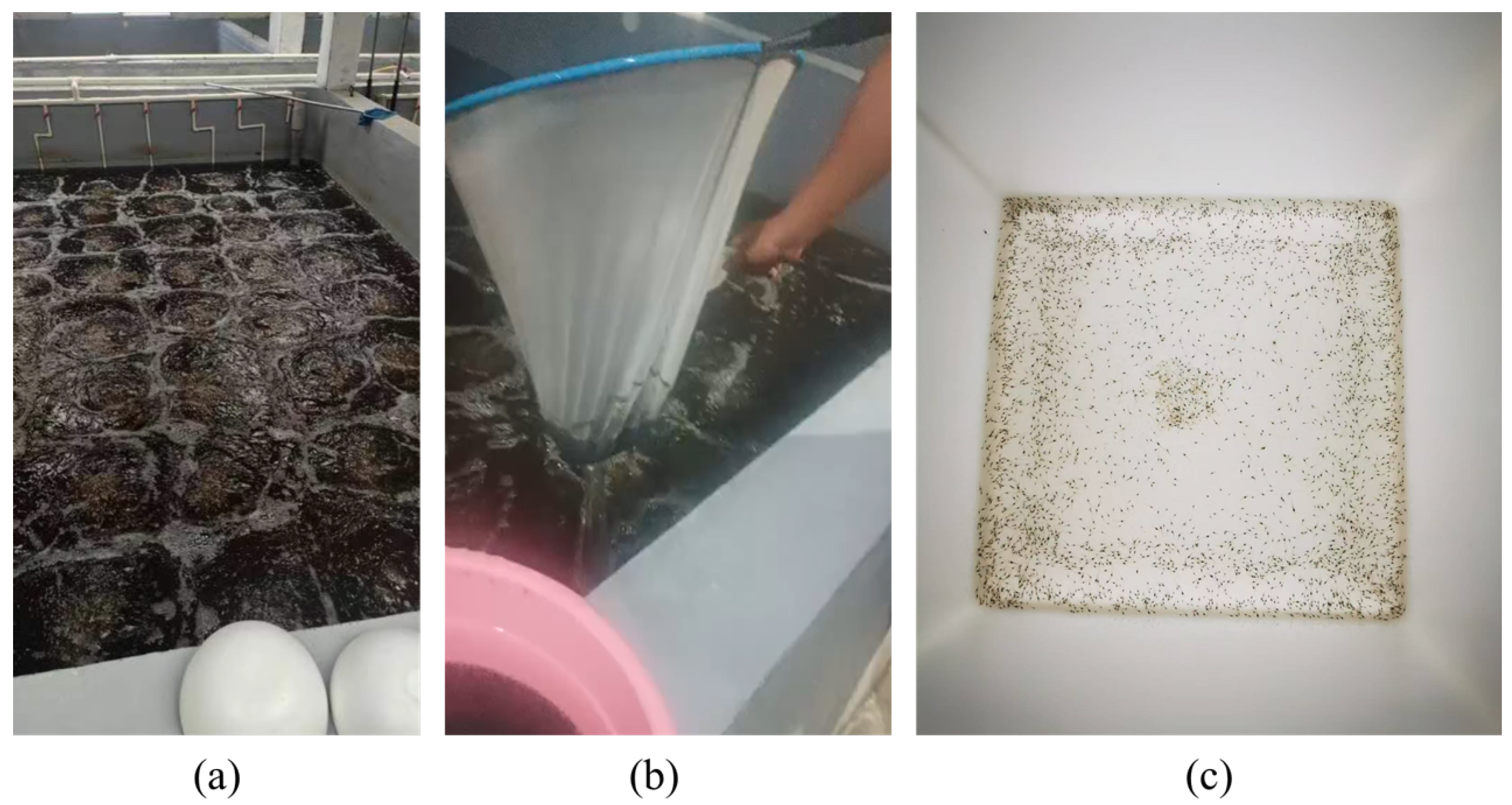 Sensors 24 06328 g004