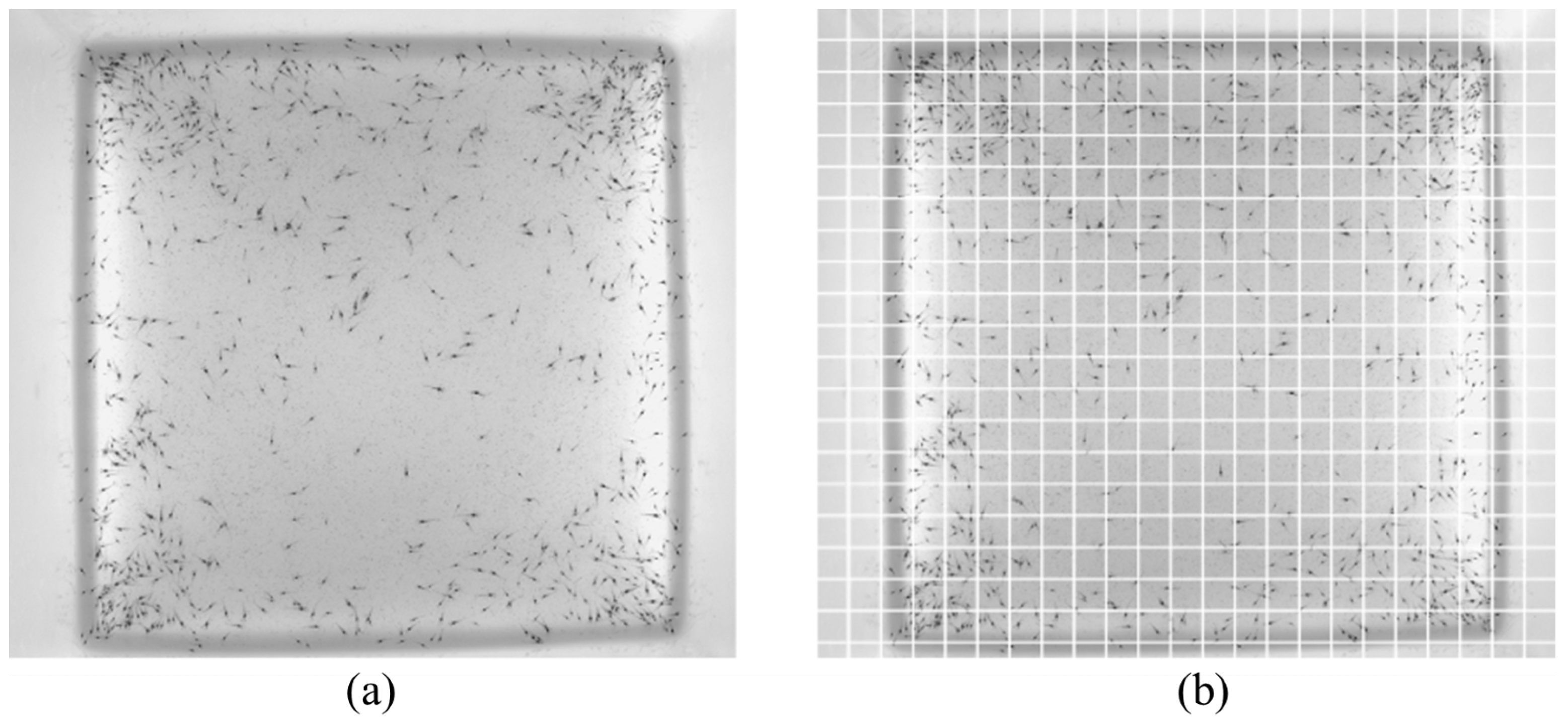 Sensors 24 06328 g005