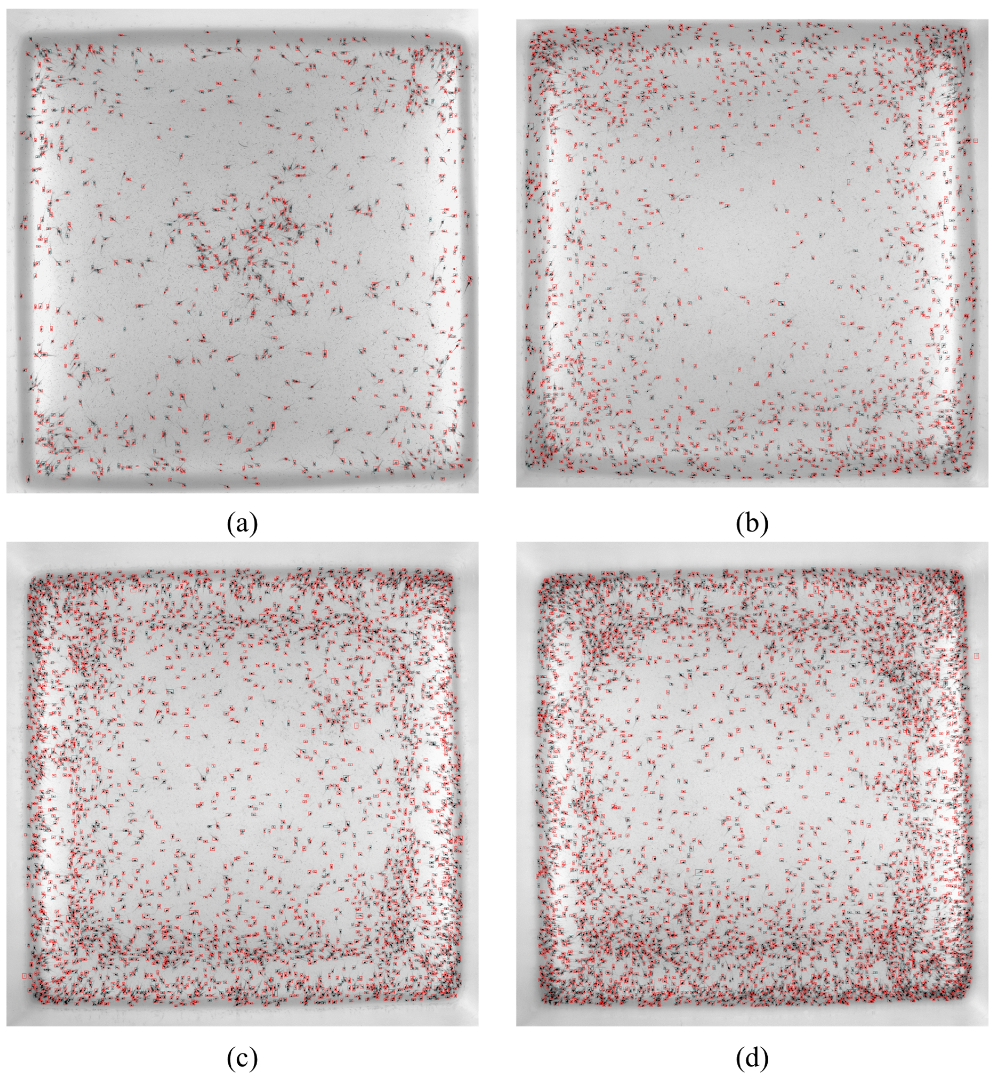 Sensors 24 06328 g016