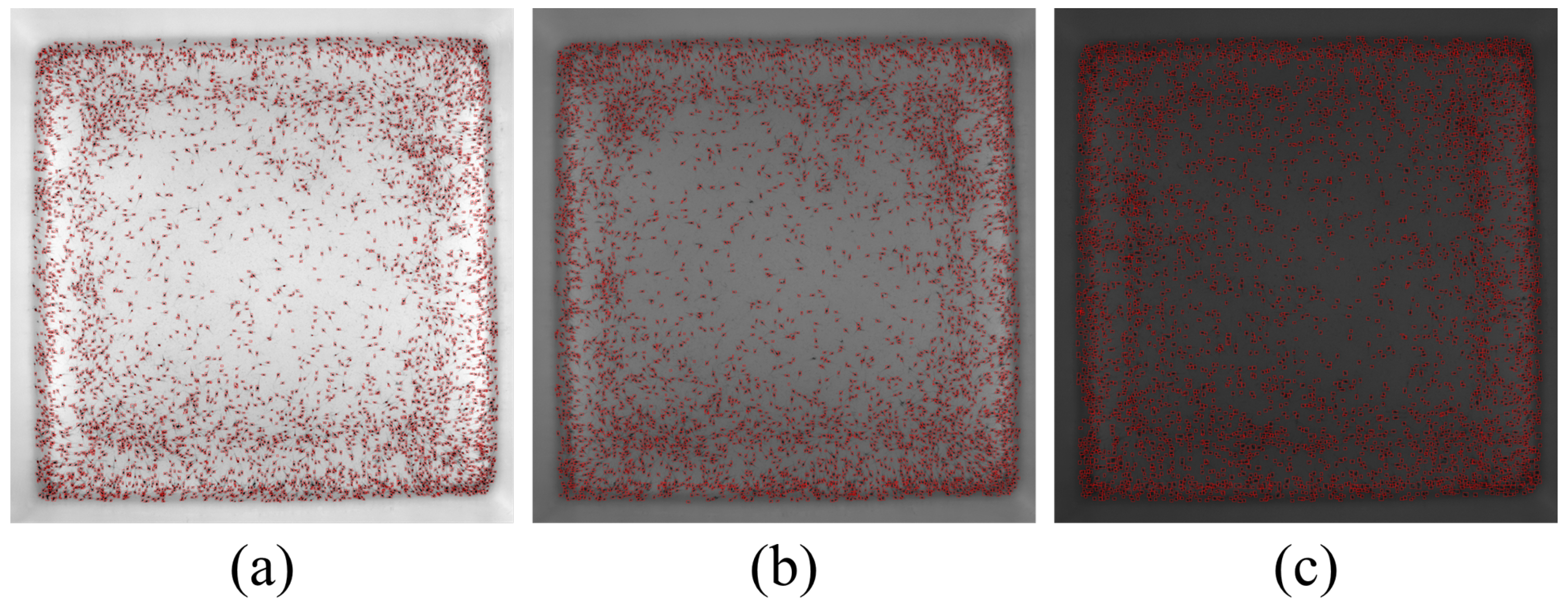 Sensors 24 06328 g020