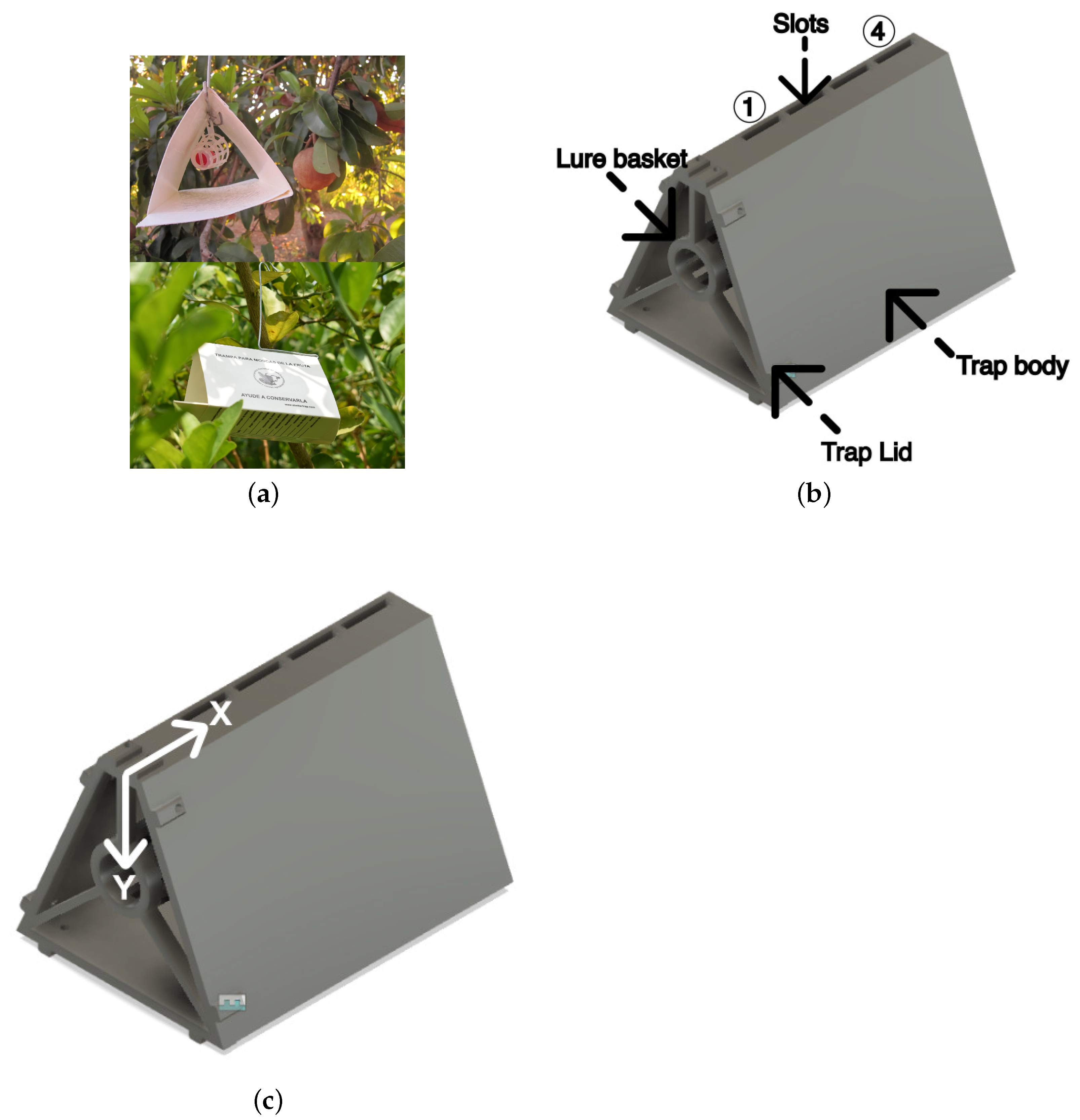 Sensors 24 06348 g001