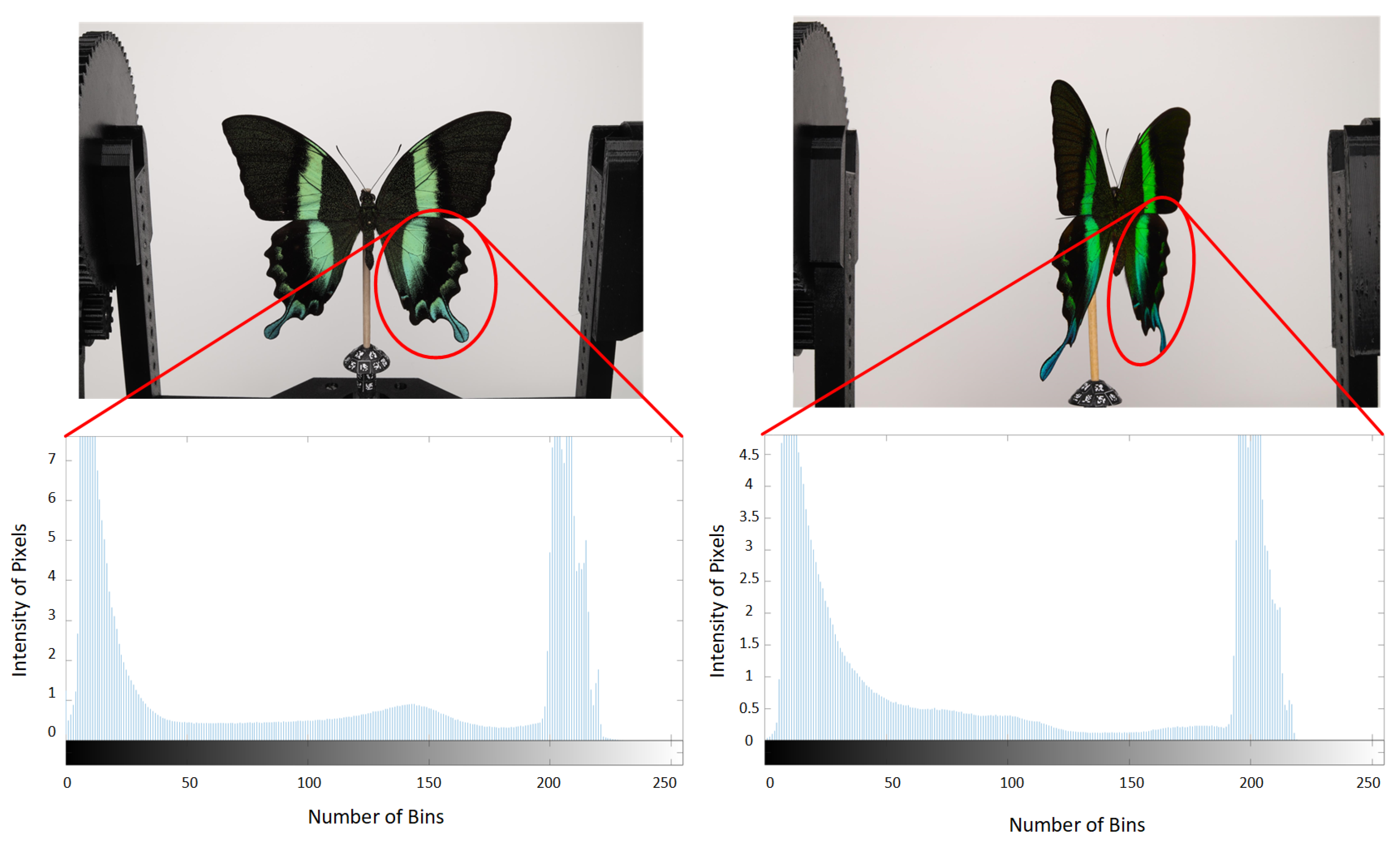 Sensors 24 06352 g002