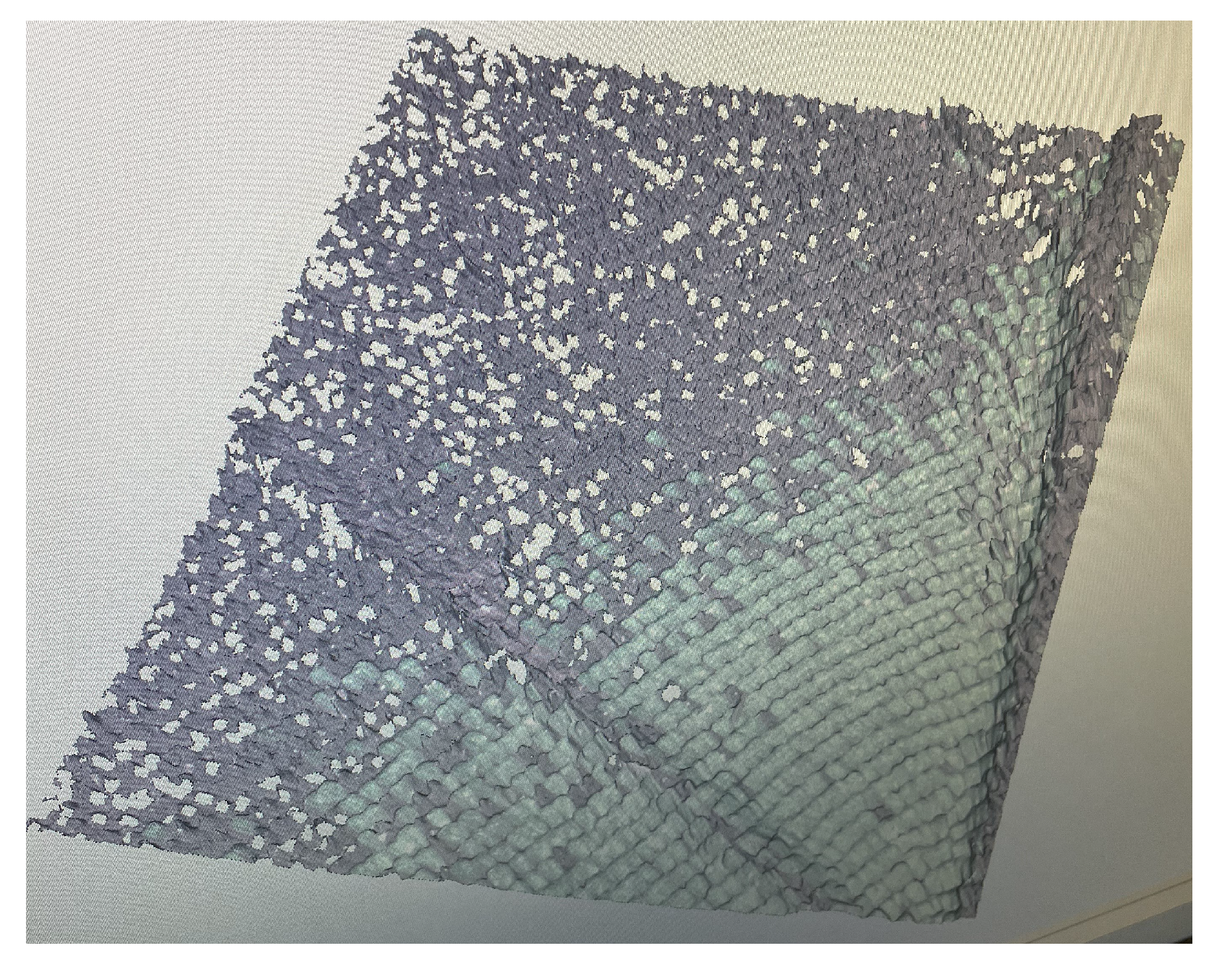 Sensors 24 06352 g003