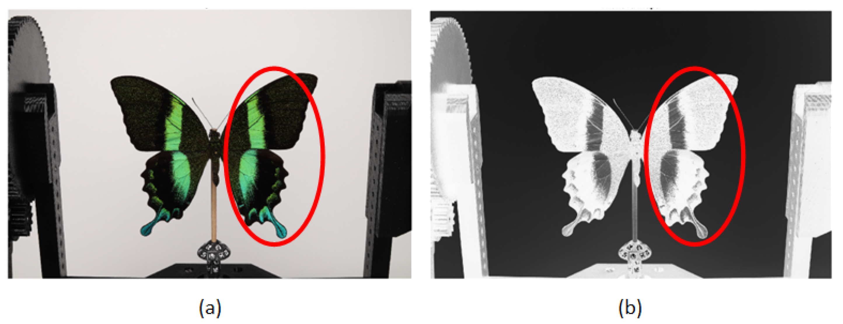 Sensors 24 06352 g011