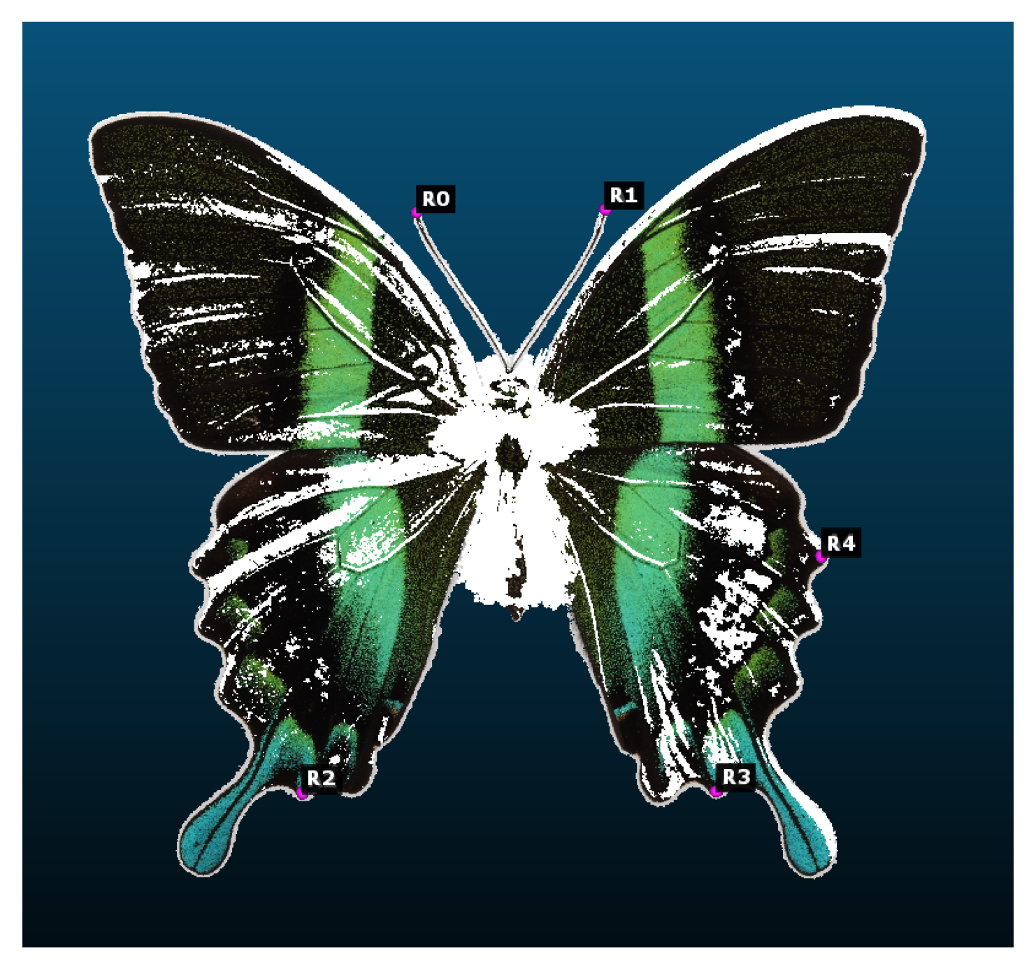 Sensors 24 06352 g015