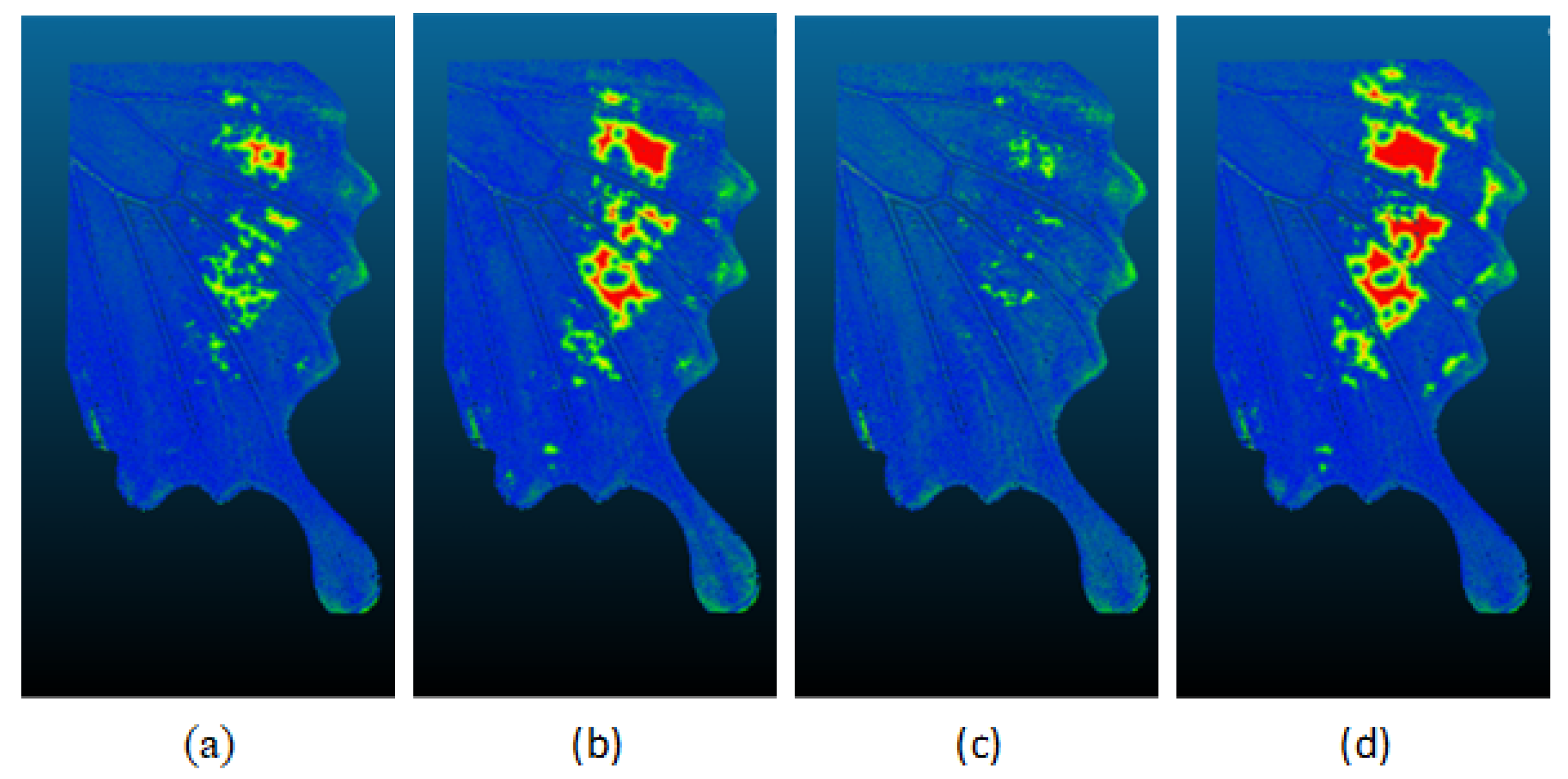 Sensors 24 06352 g020