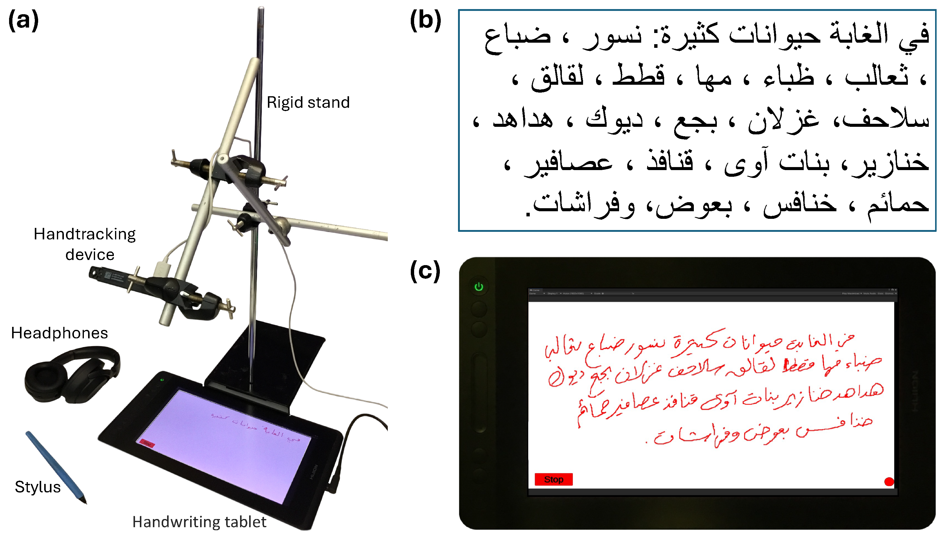 Sensors 24 06357 g001