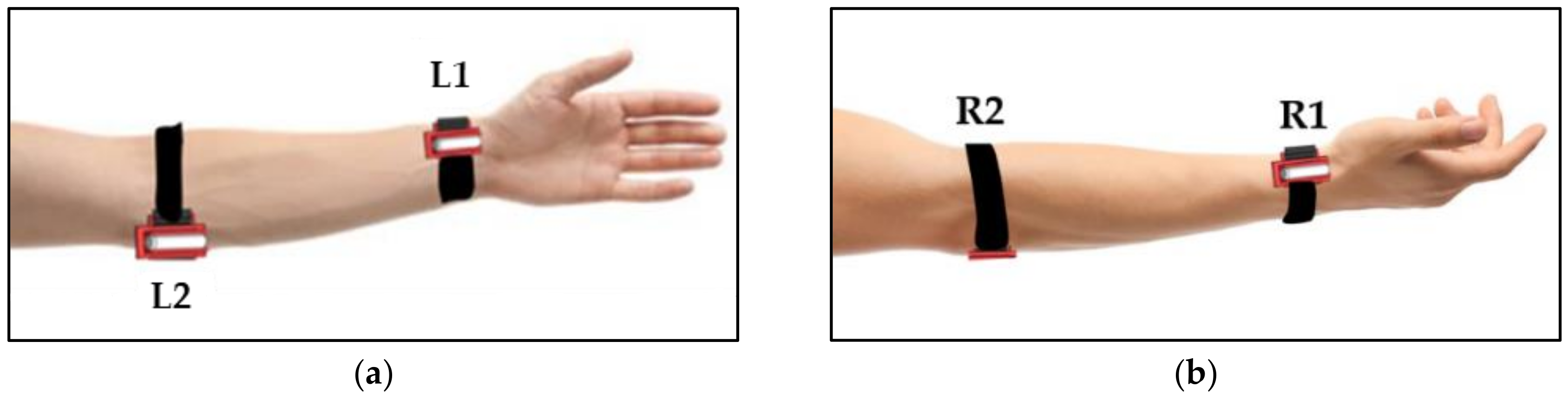 Sensors 24 06378 g002