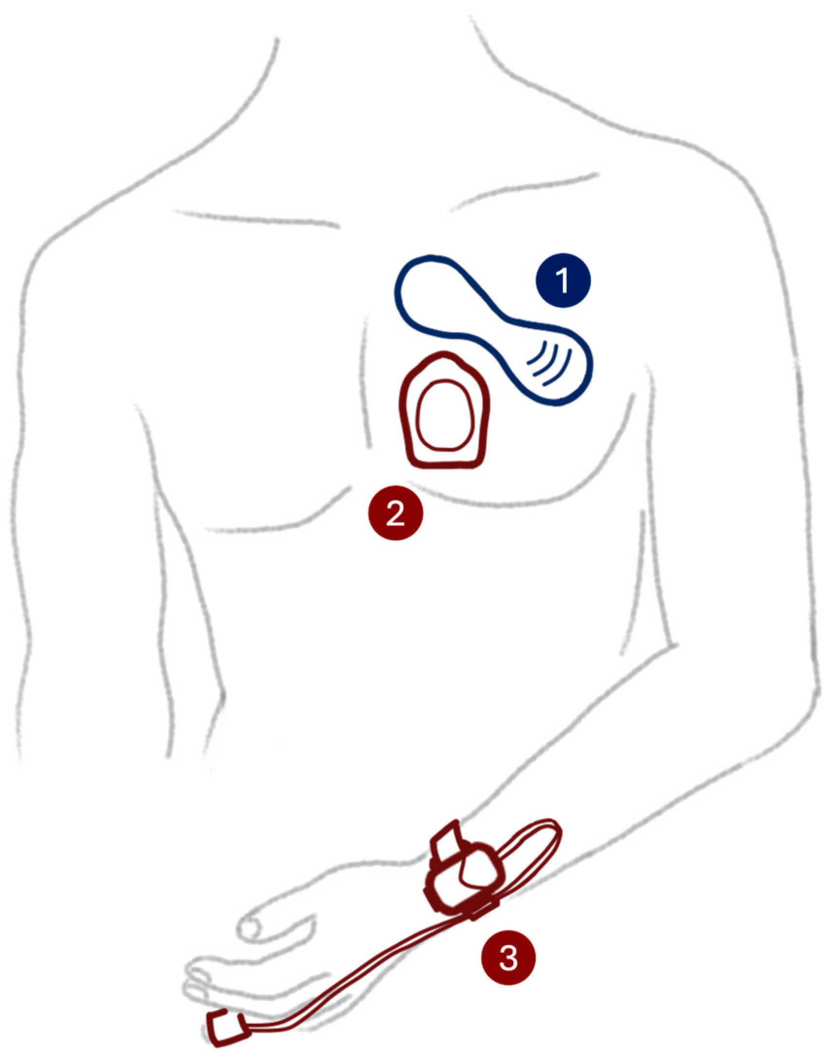 Sensors 24 06379 g001