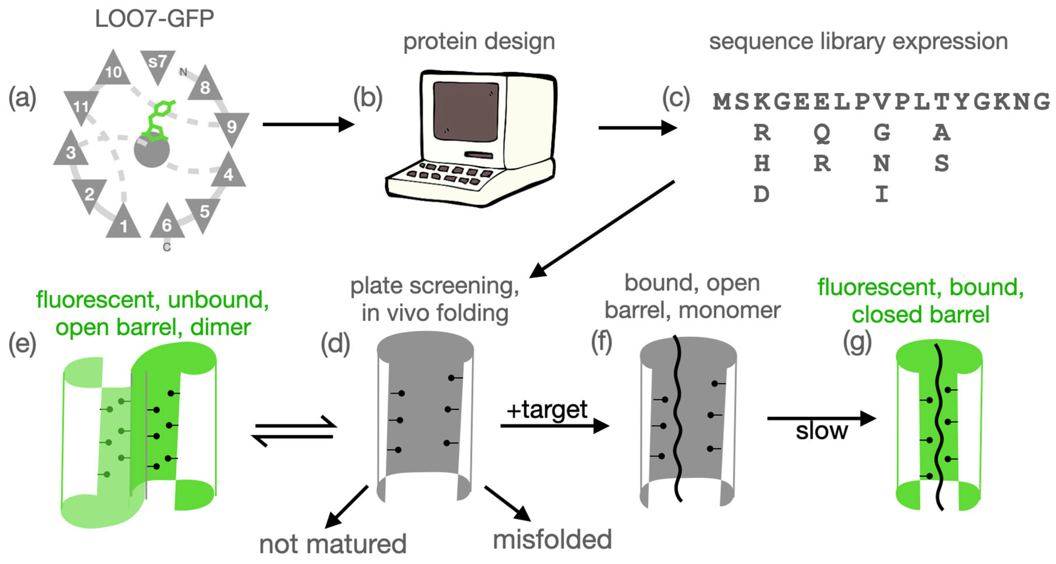 Sensors 24 06380 g001