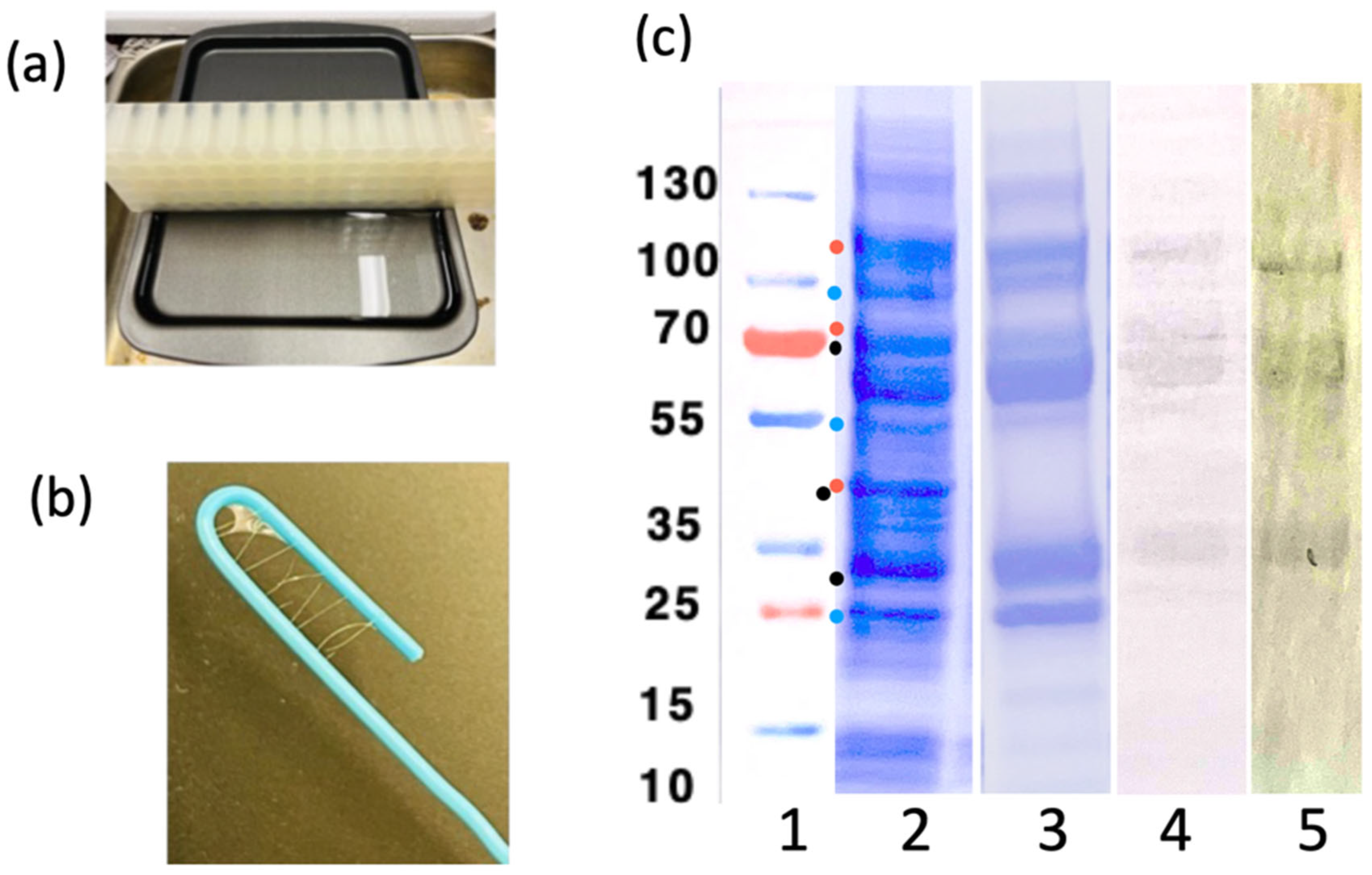 Sensors 24 06380 g008