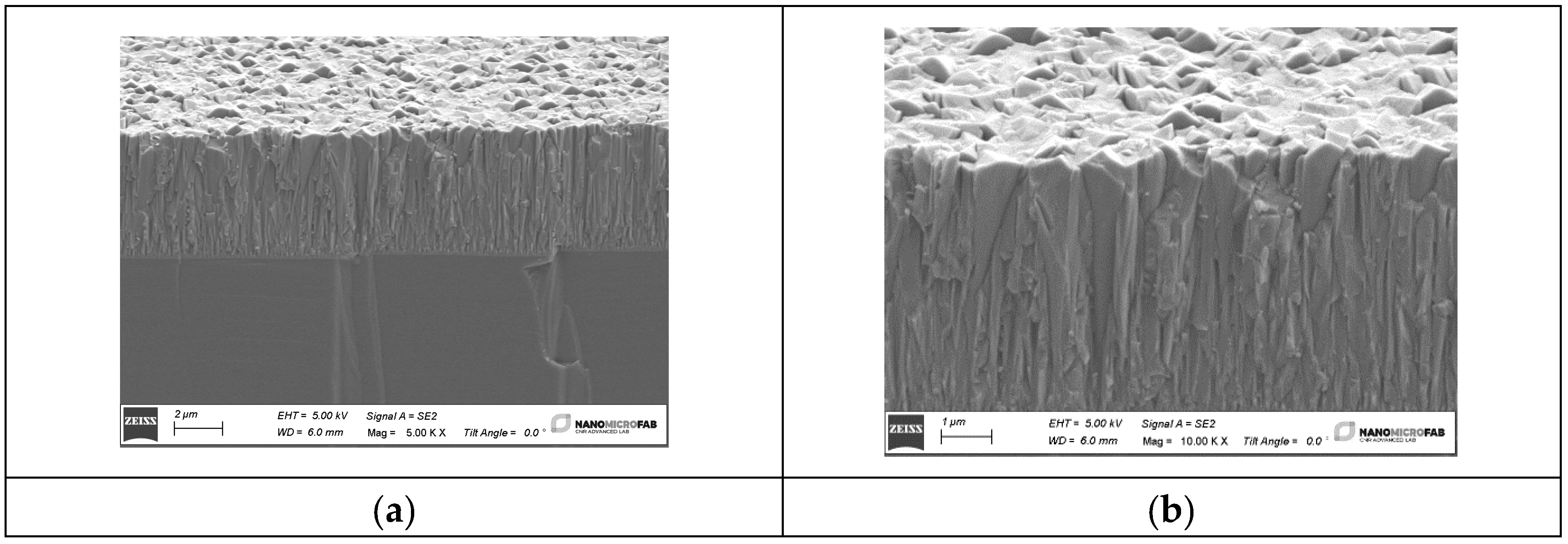 Sensors 24 06399 g010