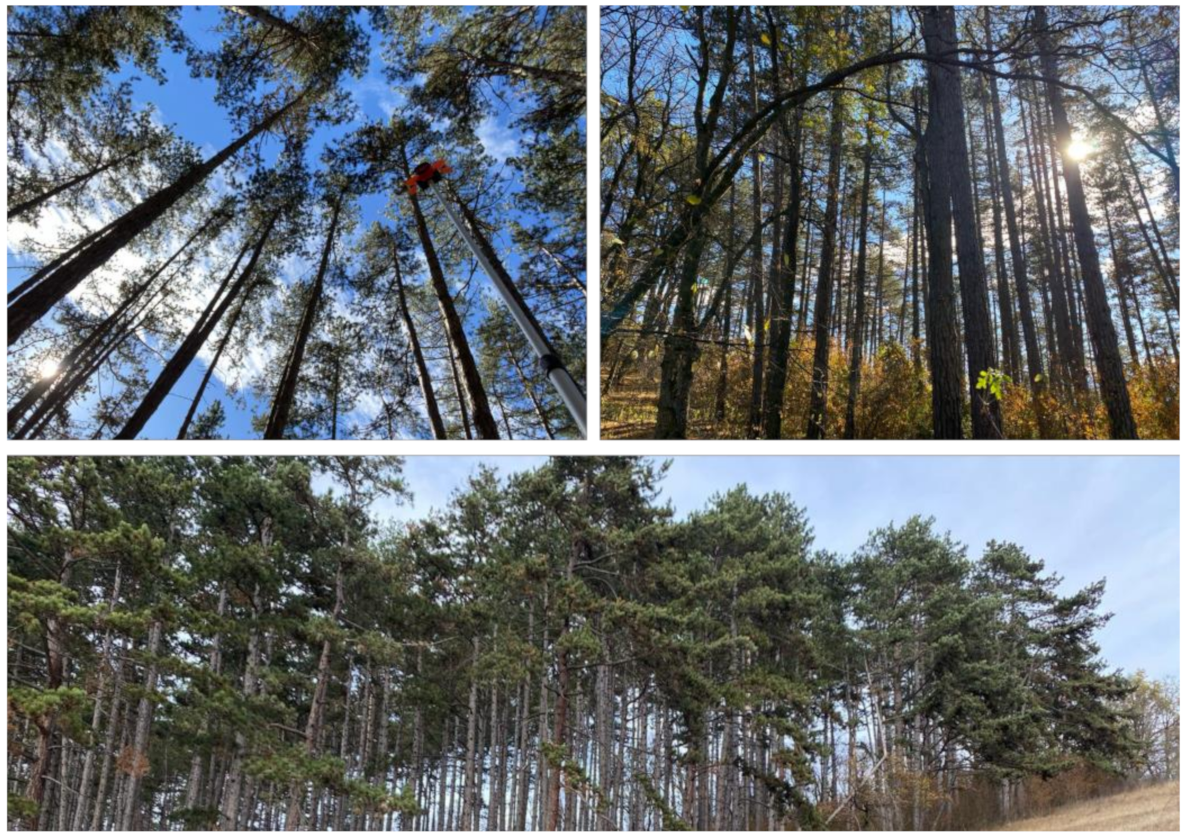 Sensors 24 06404 g003