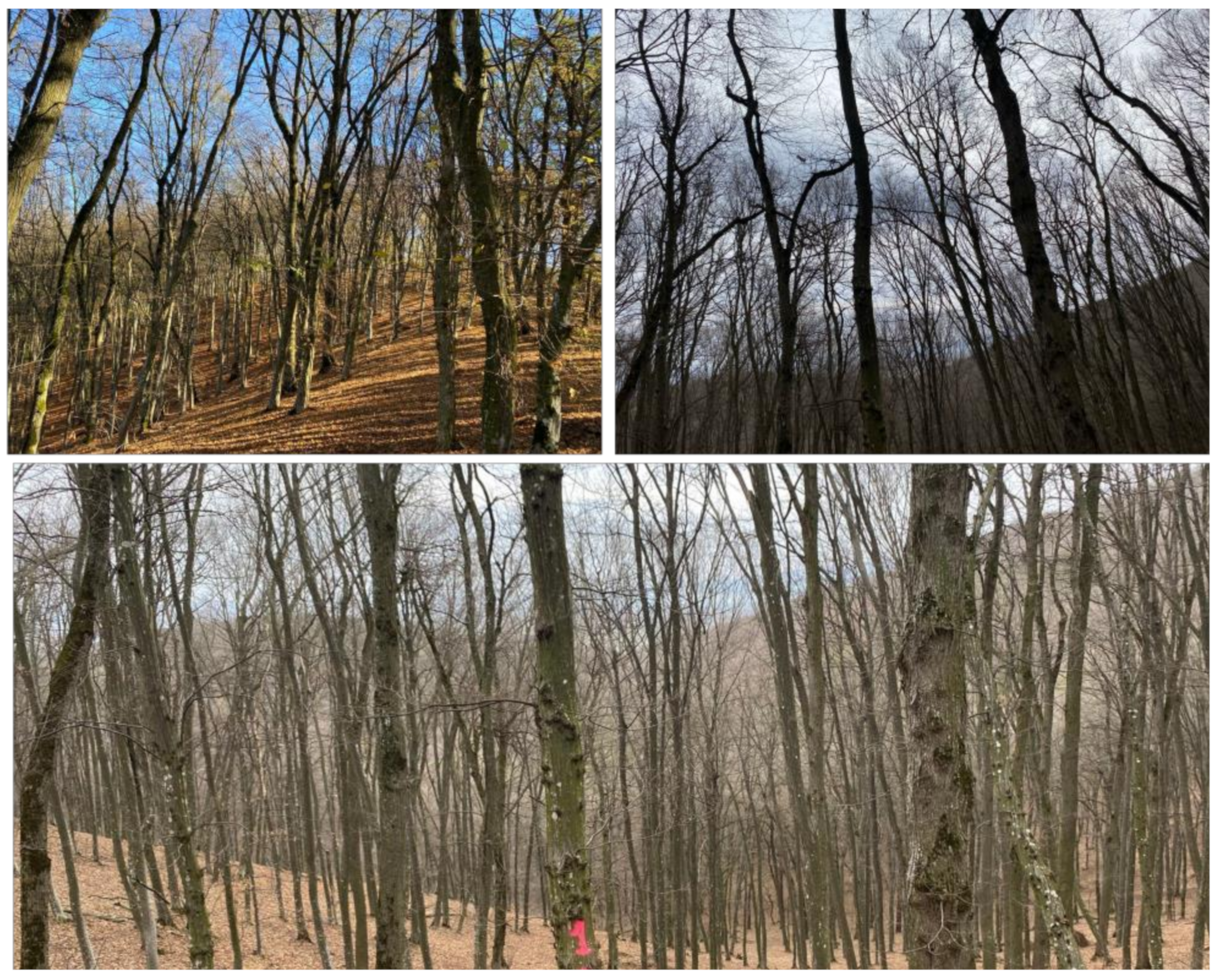 Sensors 24 06404 g004