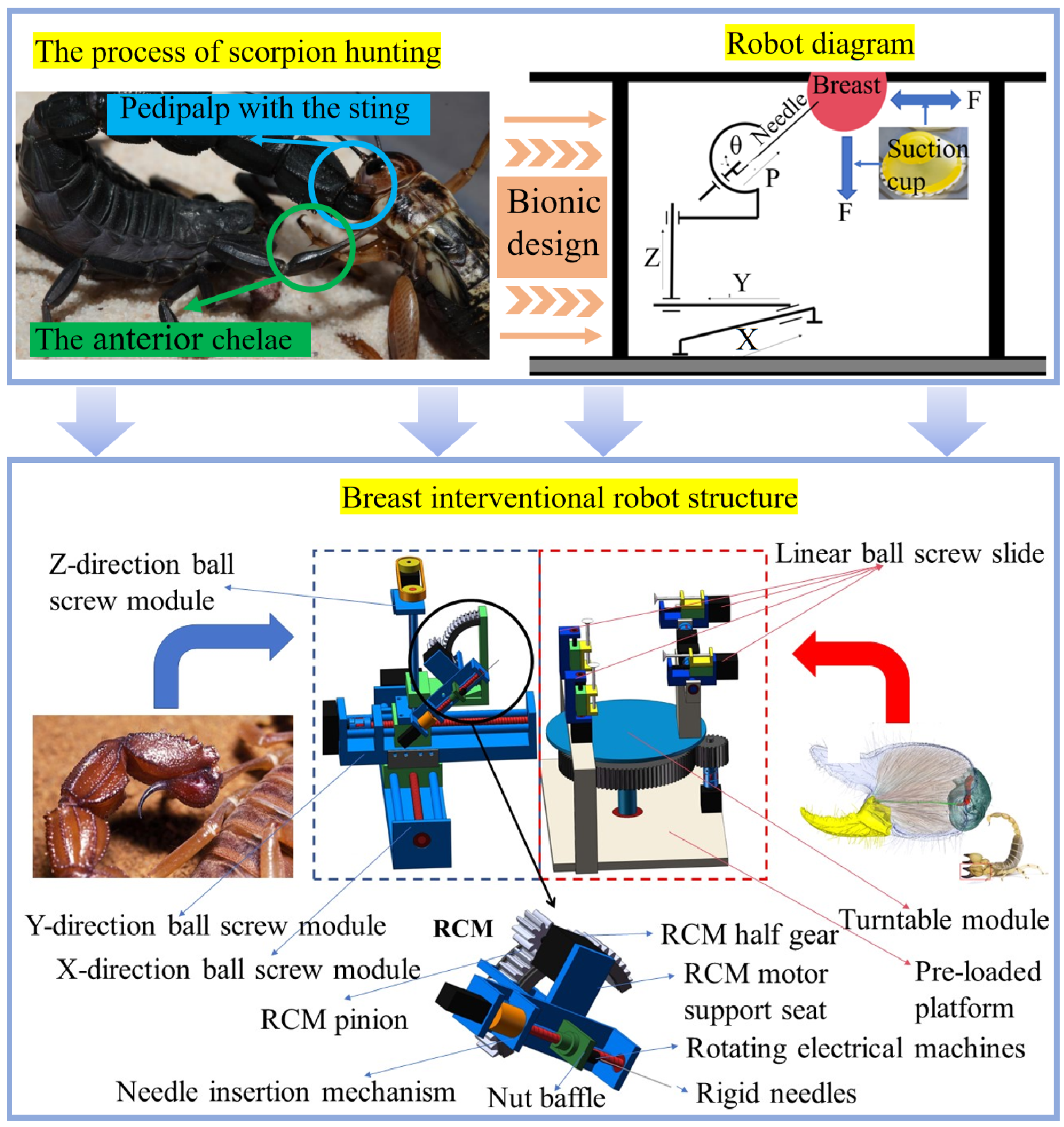 Sensors 24 06408 g005