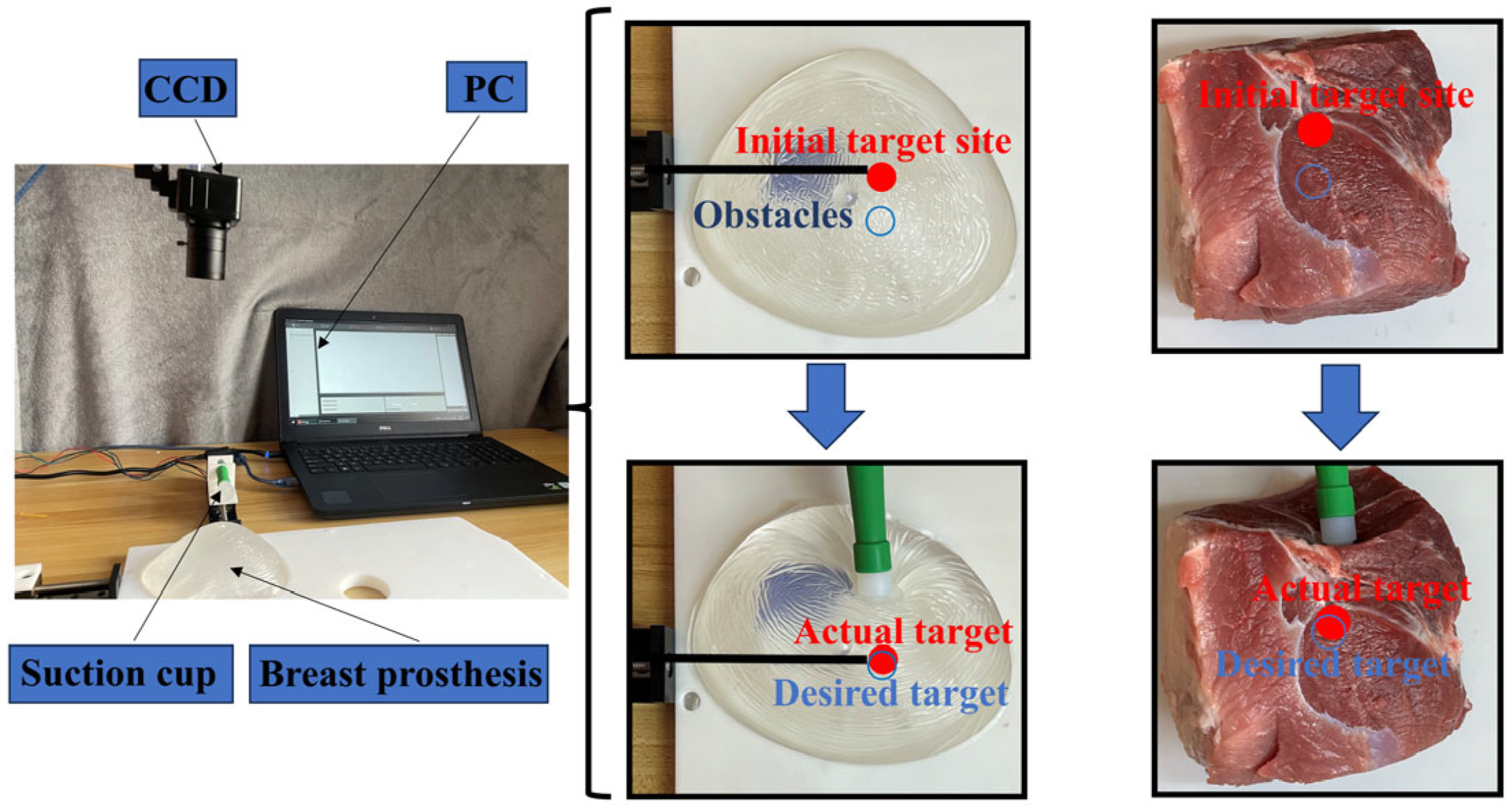 Sensors 24 06408 g013
