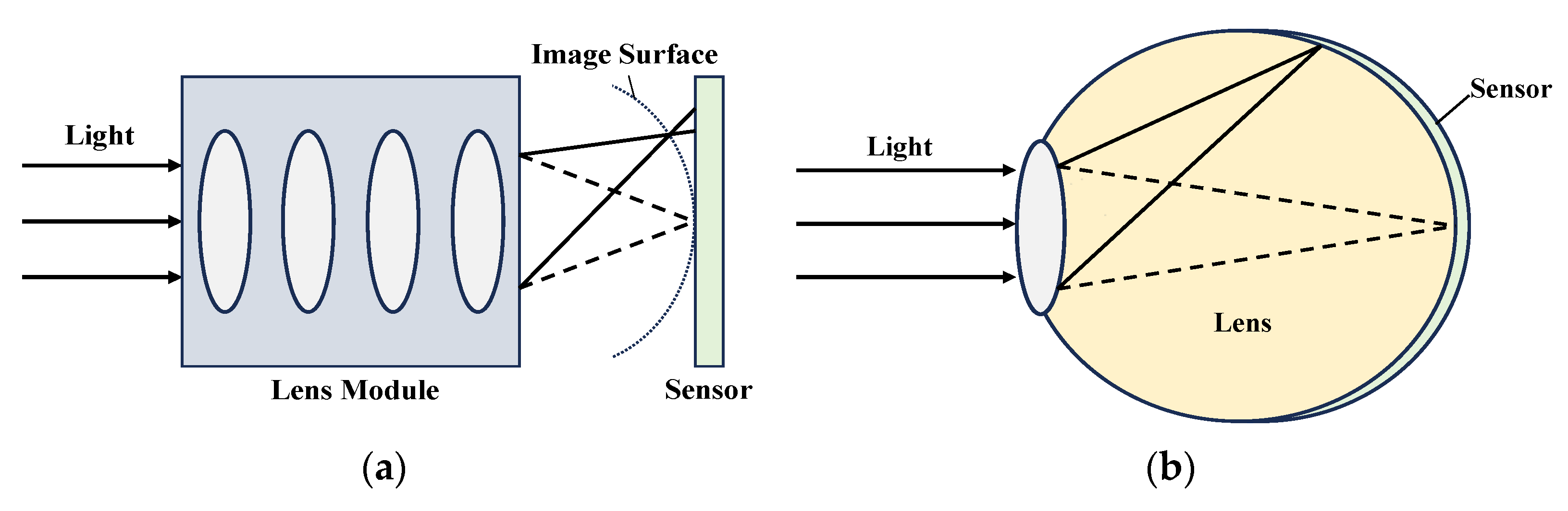 Sensors 24 06428 g001