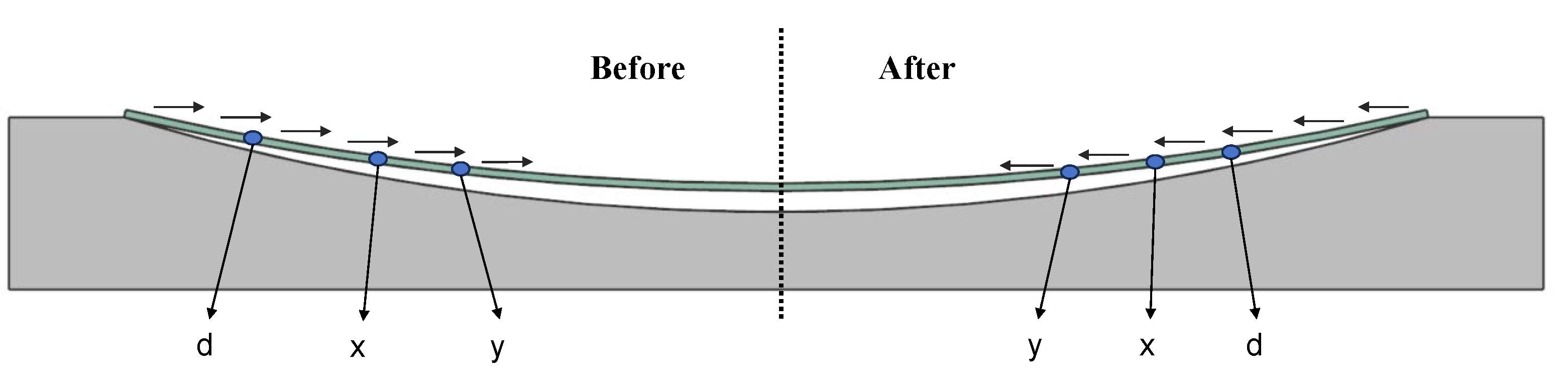 Sensors 24 06428 g005