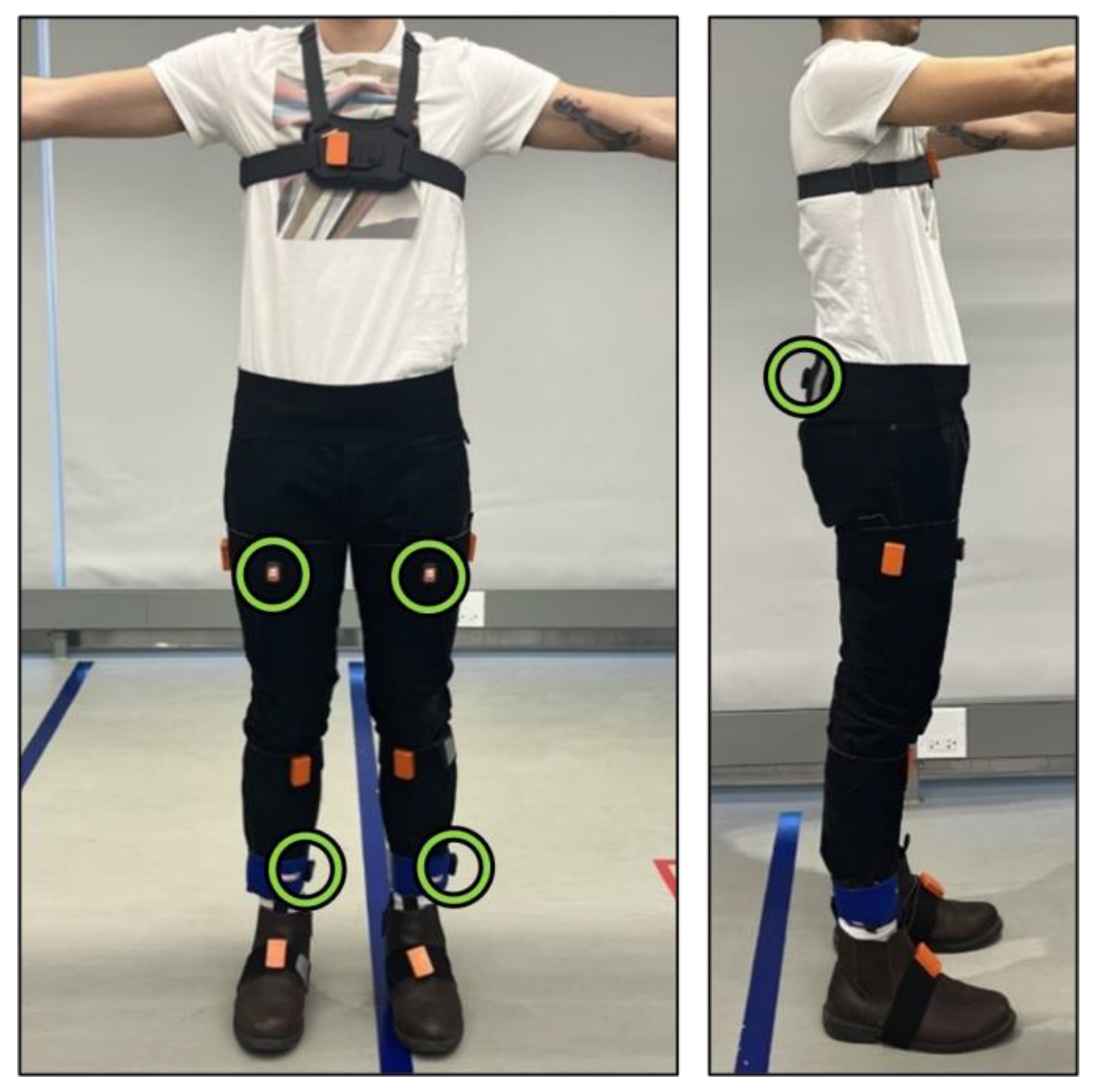 Sensors 24 06431 g001