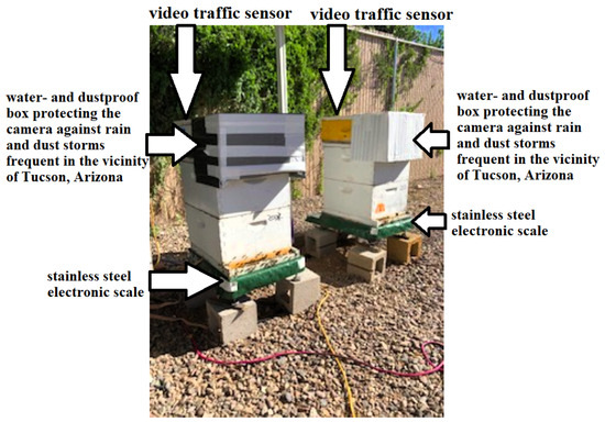 Sensors 24 06433 g0a2
