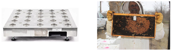 Sensors 24 06433 g0a3