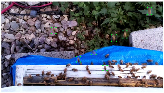 Sensors 24 06433 g0a5